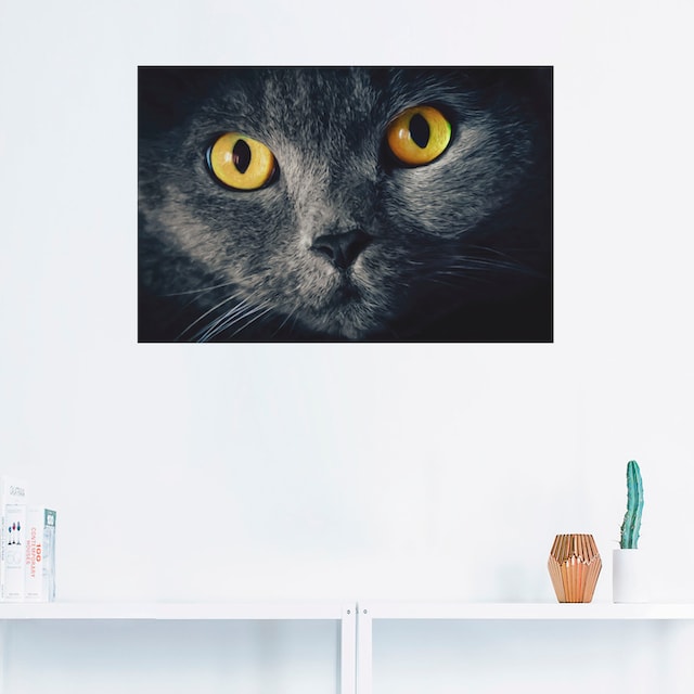 Artland Wandbild »Katzenaugen«, Haustiere, (1 St.), als Alubild,  Leinwandbild, Wandaufkleber oder Poster in versch. Größen kaufen | BAUR