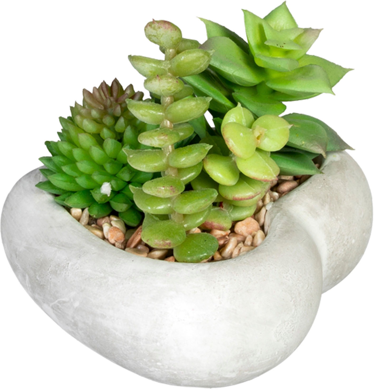Creativ green Künstliche Zimmerpflanze »Sukkulentenarrangement«, in Zementschale, 3er Set
