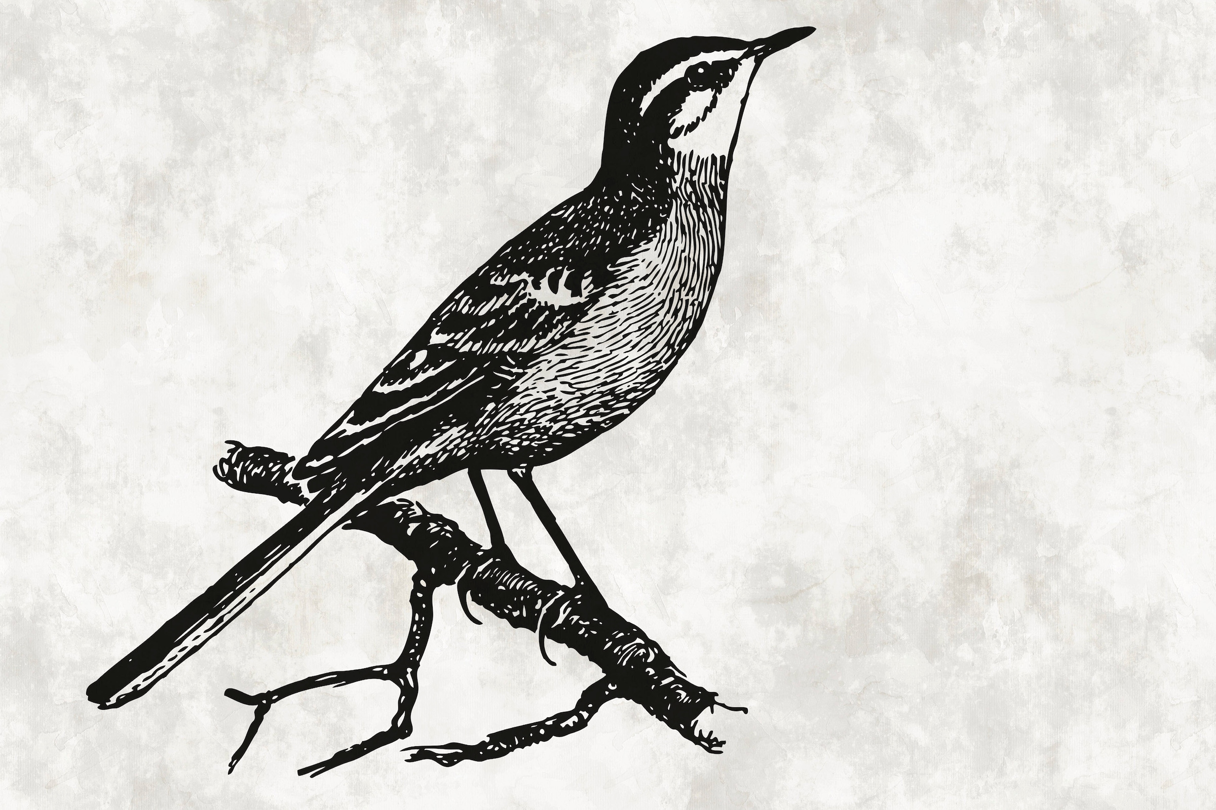 A.S. Création Leinwandbild »sketchpad 4«, Kunst-Vögel-Kinder, (1 St.), Schwarz-Weiß Zeichnung Vogel Keilrahmen Leinwand-Bild Wohnzimmer Wand