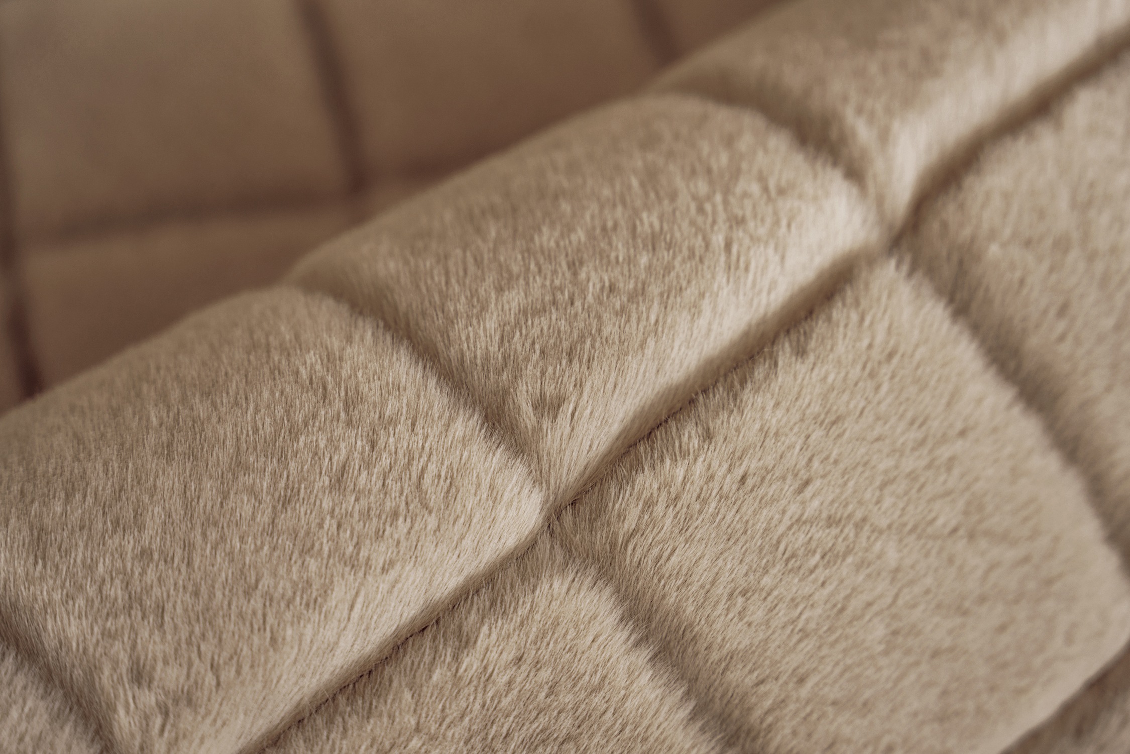 PADIRO Imala 125 Rug Beige 200x290cm 3