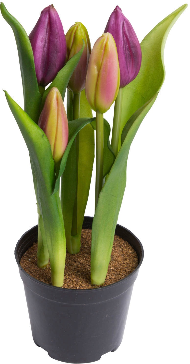 my home Kunstblume "Tulpenpflanze mit 5 Knospen"