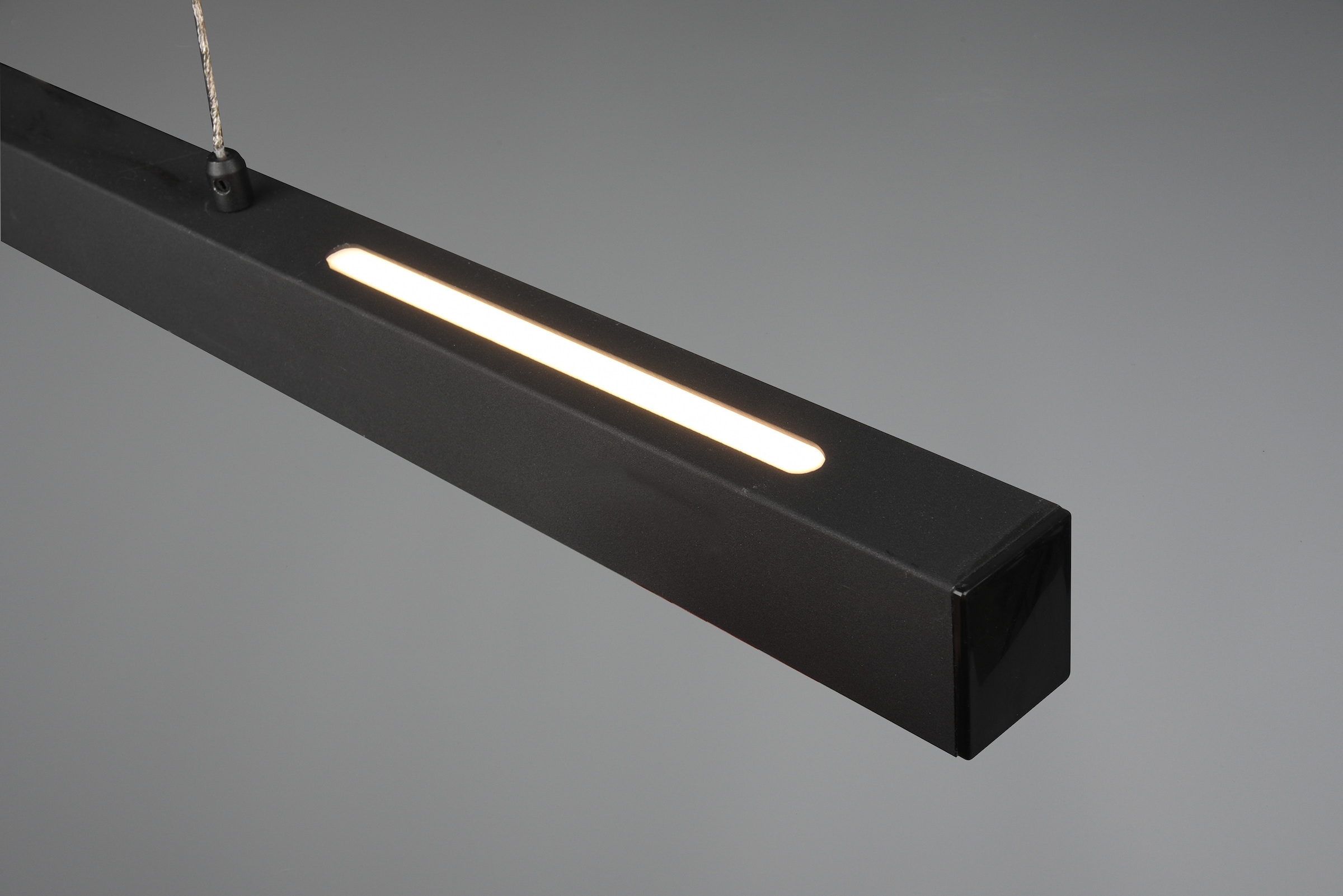 TRIO Leuchten LED Pendelleuchte »PAROS«, 1 flammig, Leuchtmittel LED-Modul | LED fest integriert, über Wandschalter dimmbar, höhenverstellbar, up and down Beleuchtung