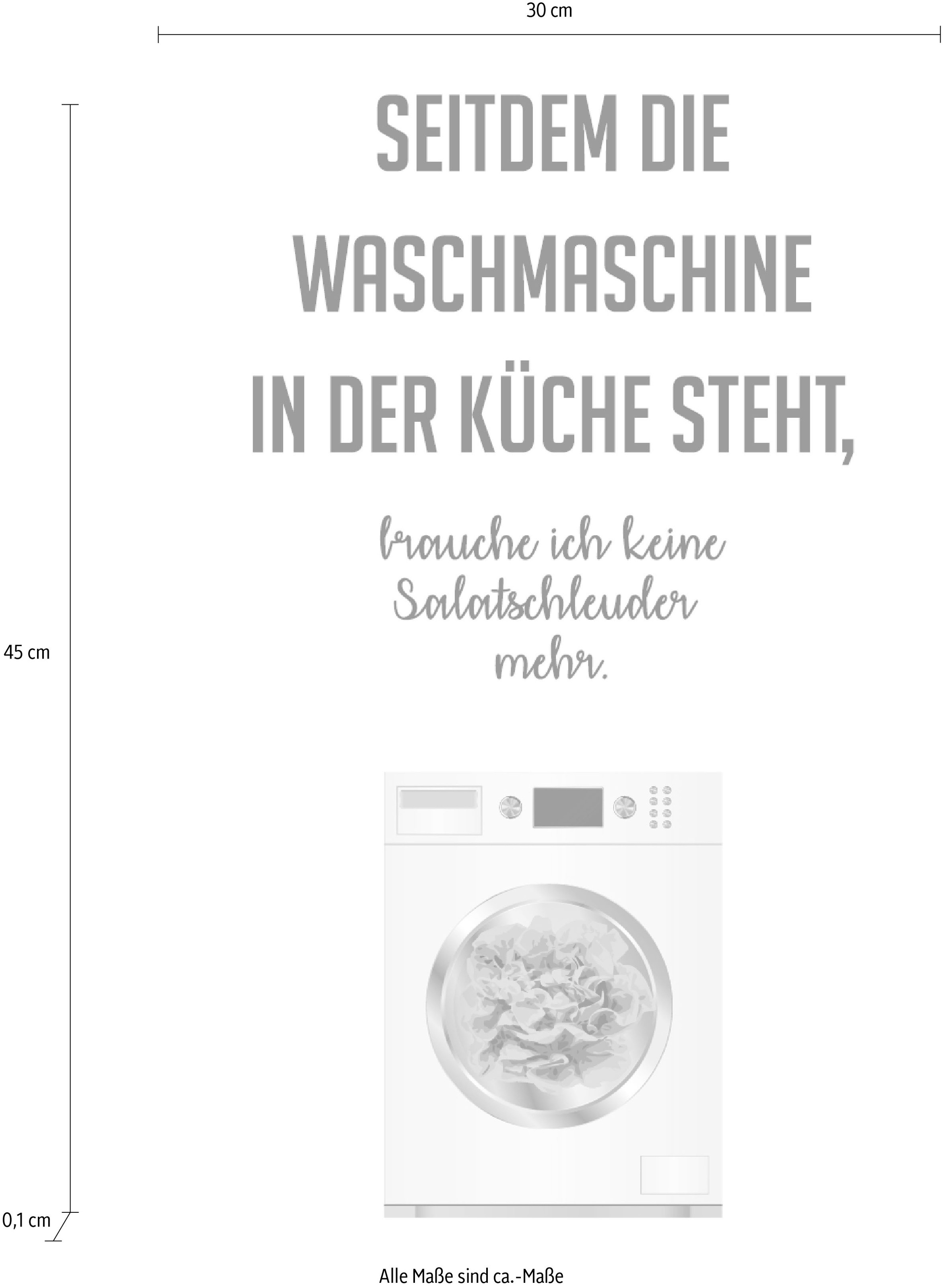 queence Wanddekoobjekt "Salatschleuder", Stahlschild, Blechschild, Spruch, günstig online kaufen