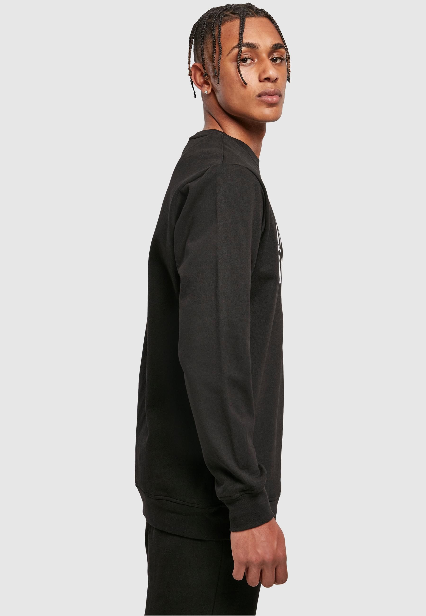 ABSOLUTE CULT Rundhalspullover »ABSOLUTE CULT Herren Flash - Star Labs Logo Crewneck«, (1 tlg.)