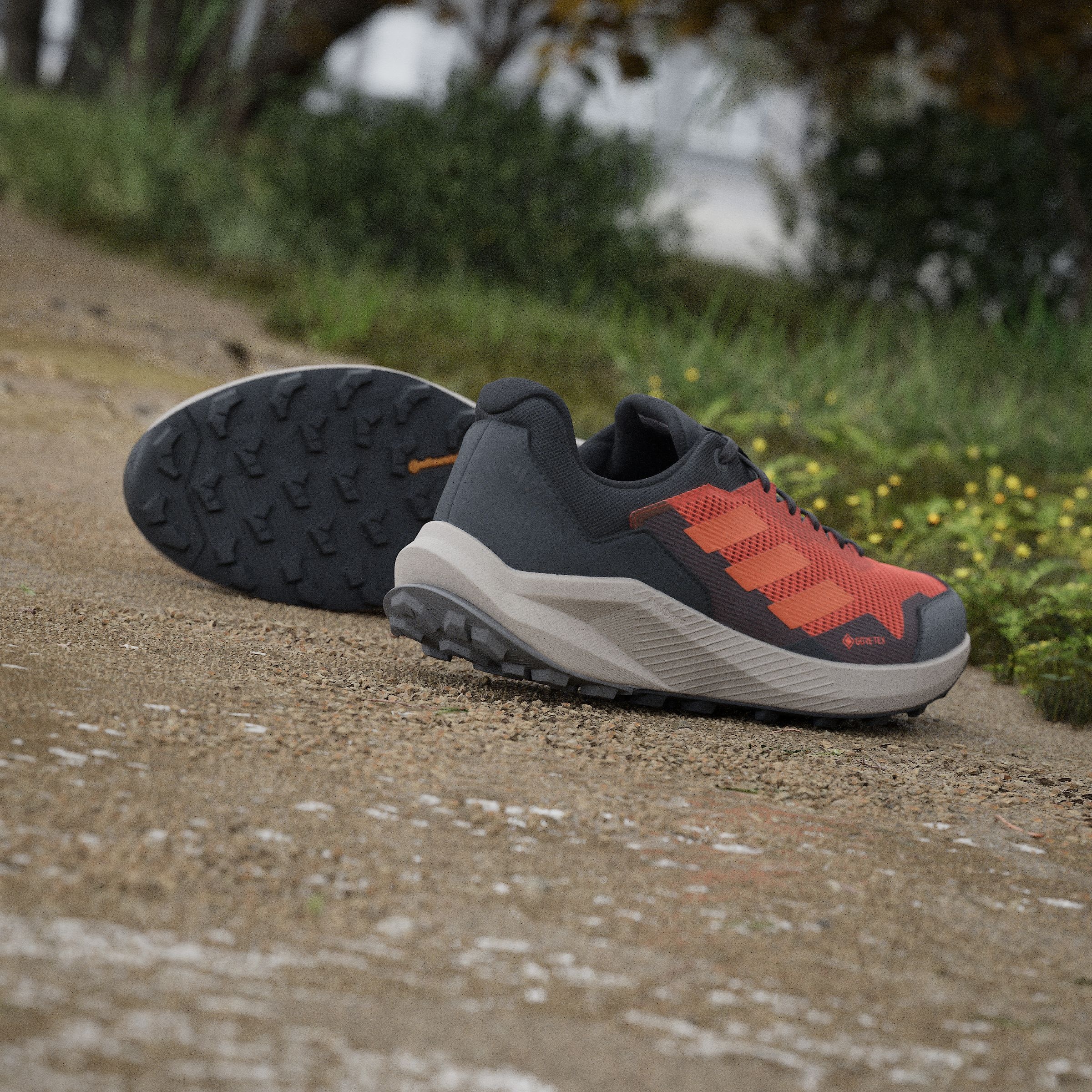 adidas TERREX Trailrunningschuh »TRAIL RIDER GORE-TEX TRAILRUNNING«, wasserdicht