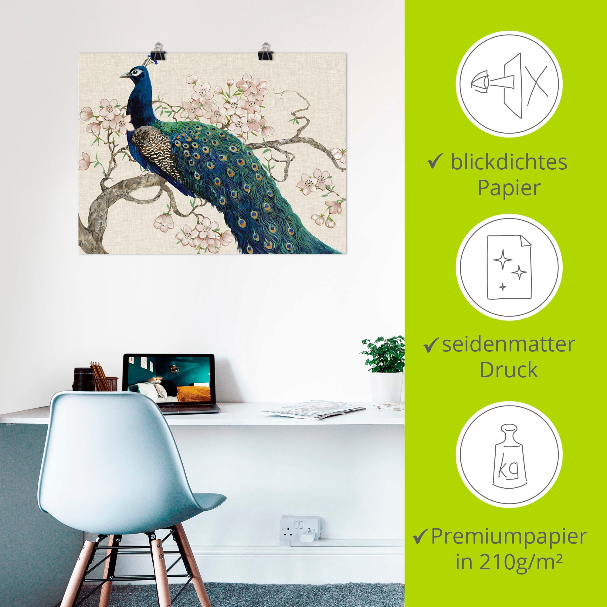 Artland Wandbild »Pfau & Blüten II« Vögel 1 Stk. tlg. als Alubild, Outdoorbild, Leinwandbild, Poster in verschied. Größen