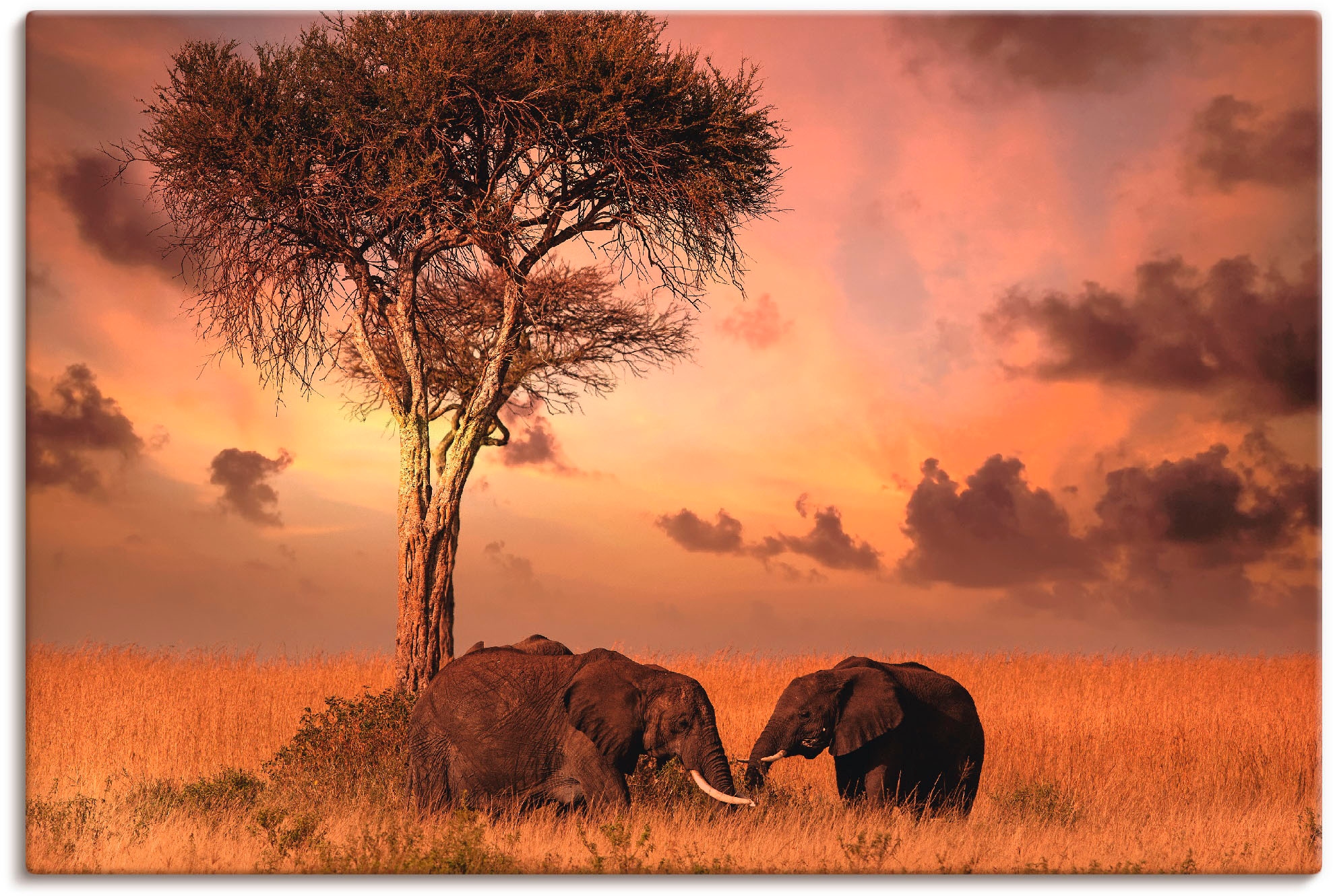 Artland Wandbild "Elefanten zum Abendessen", Wildtiere, (1 St.), als Leinwandbild, Wandaufkleber in verschied. Größen