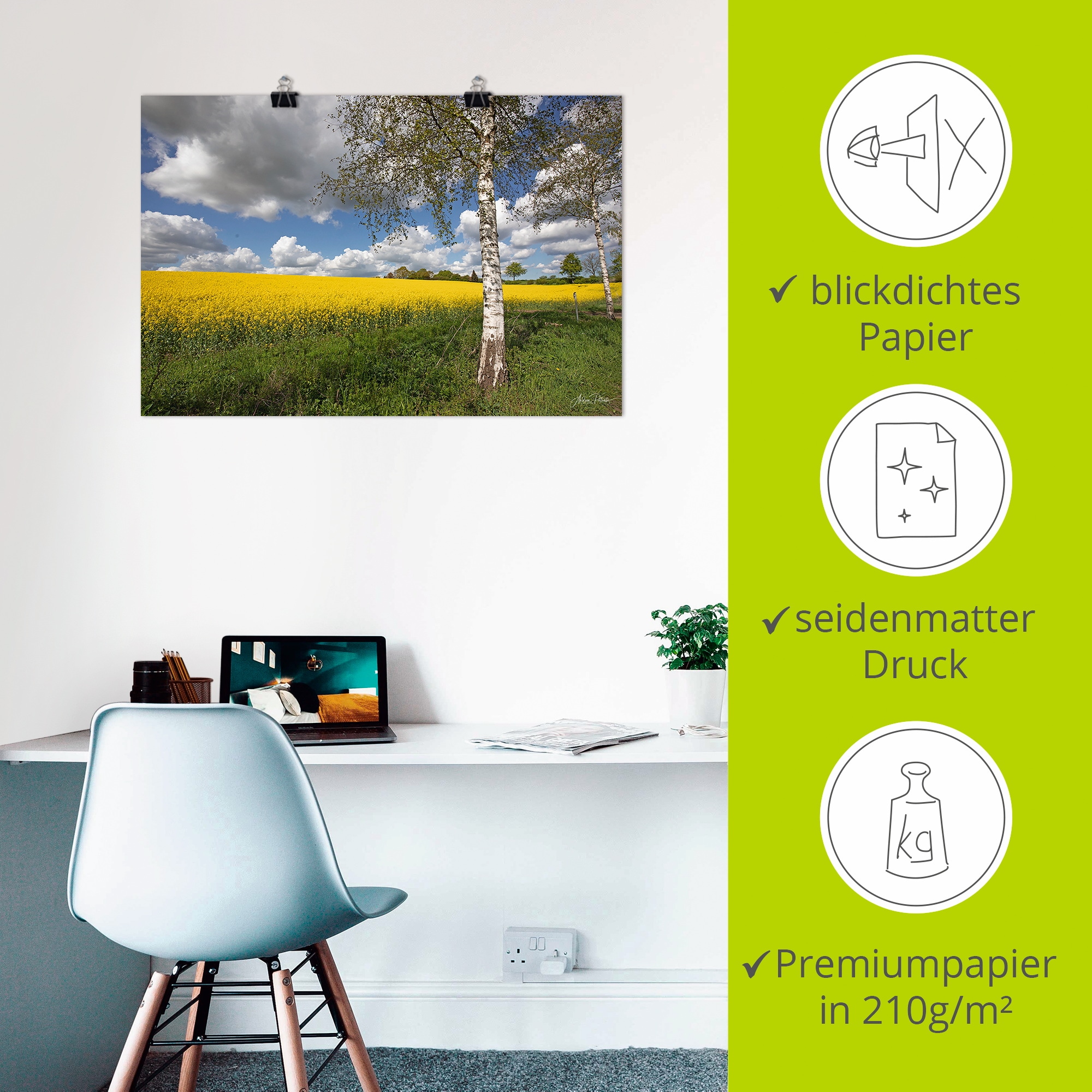 Artland Wandbild »Rapsfeld«, Wiesen & Baumbilder, (1 St.), als Alubild, Outdoorbild, Poster in verschied. Größen