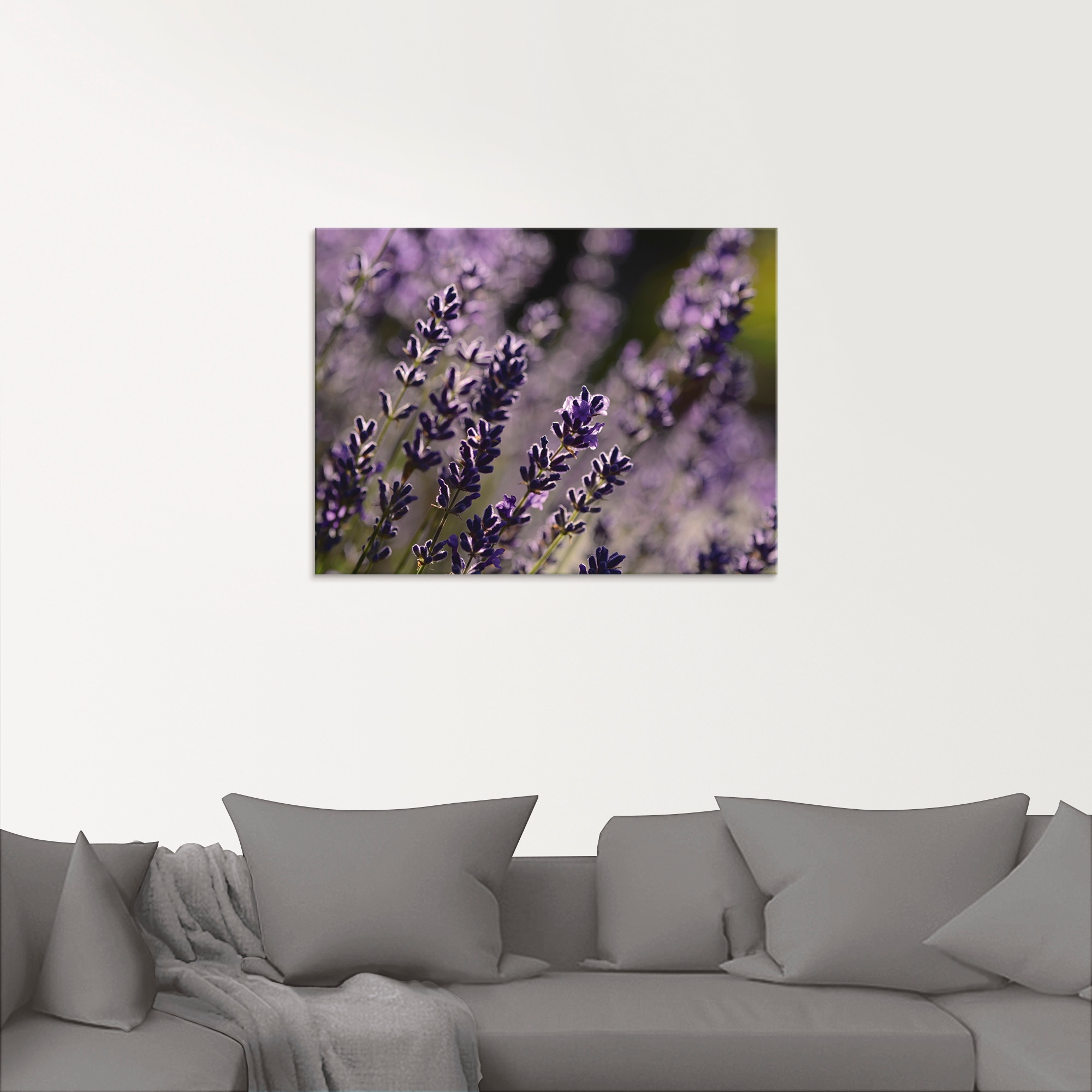 Artland Glasbild »Lavendel Nahaufnahme«, Blumen, (1 St.), in verschiedenen Größen