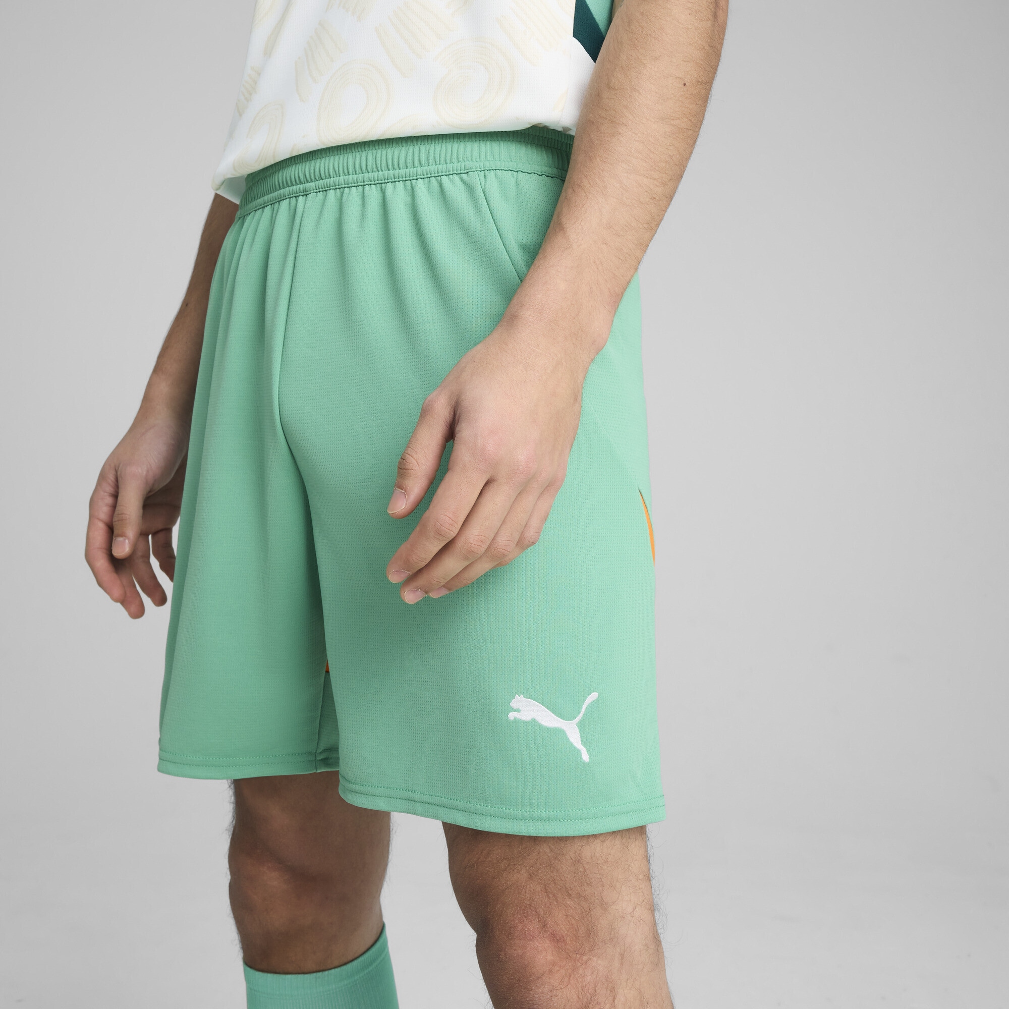 PUMA Sporthose »Elfenbeinküste 2025 Shorts Herren«
