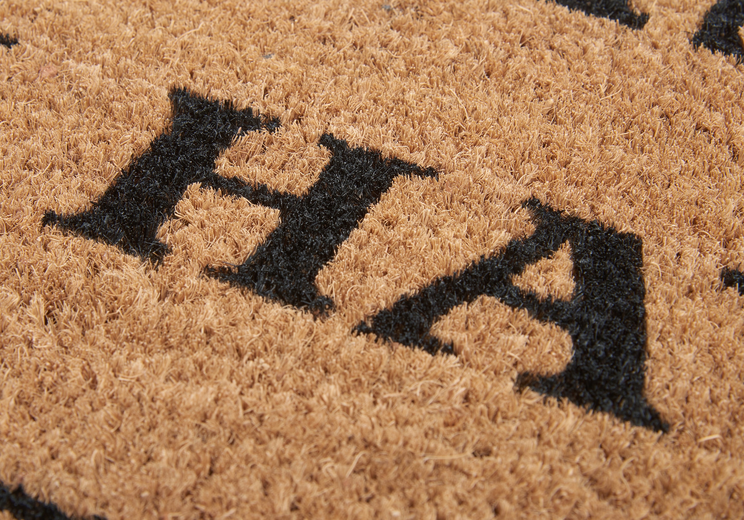 HANSE Home Fußmatte »Mix Mats Kokos Prosecco, Türmatte«, rechteckig, 15 mm Höhe, Kokos, Schmutzfangmatte, Outdoor, Rutschfest, Innen, Kokosmatte, Flur