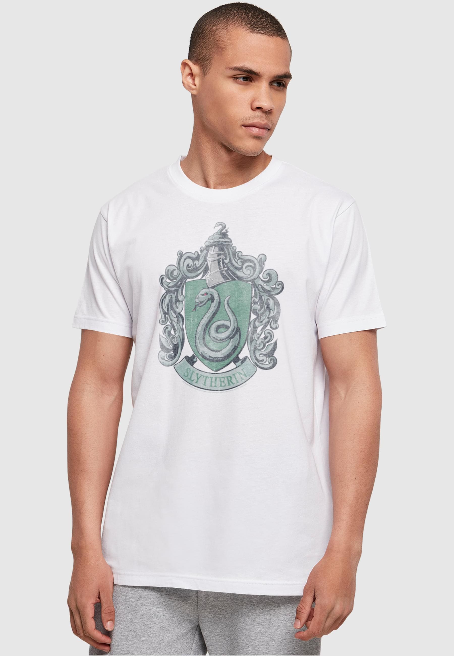 ABSOLUTE CULT T-Shirt »ABSOLUTE CULT Herren«, (1 tlg.)