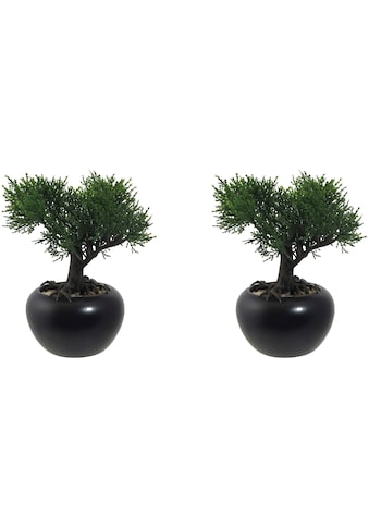 Creativ green Kunstbonsai »Bonsai Zeder im Keramikto...