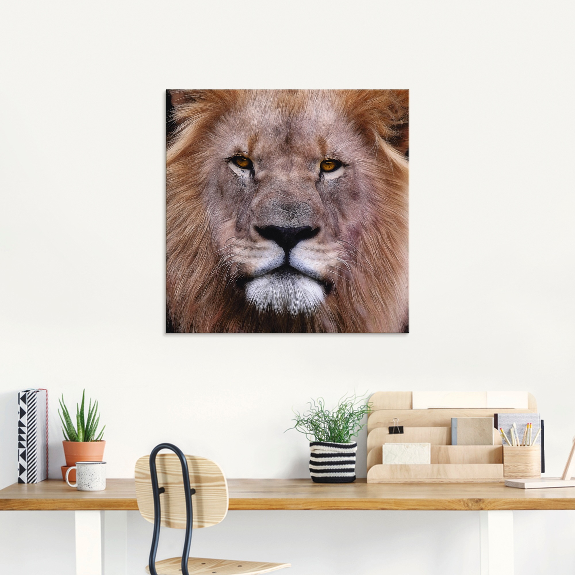Artland Glasbild »König der Löwen«, Wildtiere, (1 St.), in verschiedenen Größen
