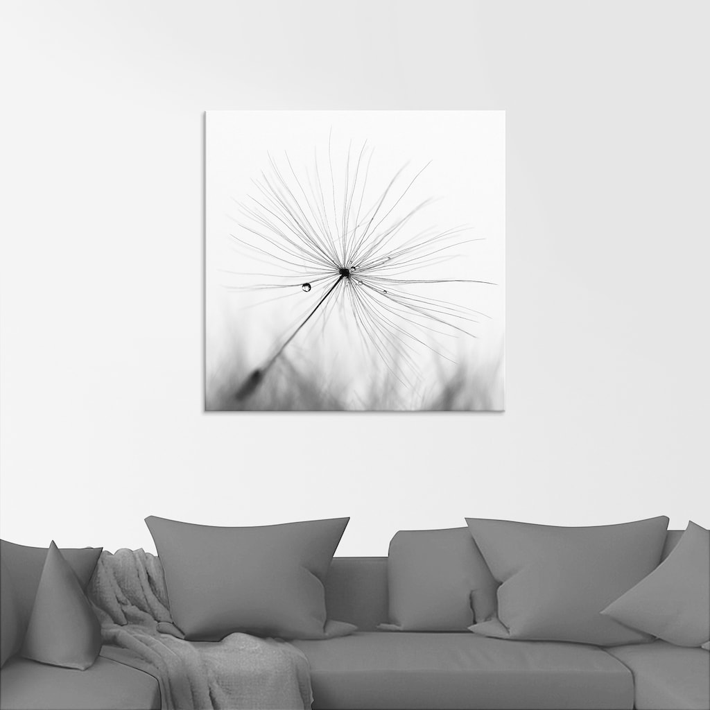 Artland Glasbild »Pusteblume Schirmchen«, Blumen, (1 St.)