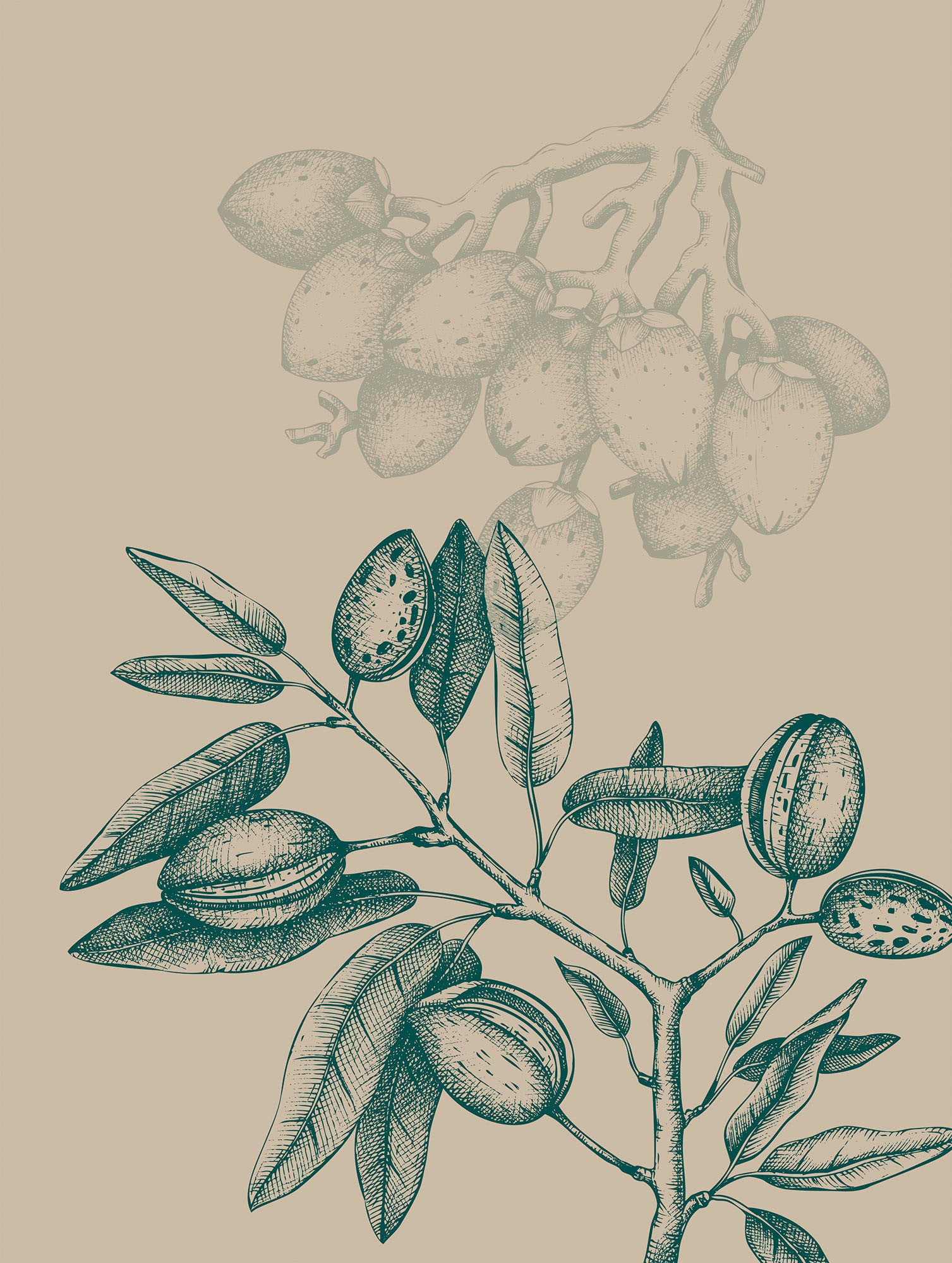 Komar Bild "Wild Mandolino" Natur 1 Stk. tlg. Wandbild zur Dekoration - ohn günstig online kaufen