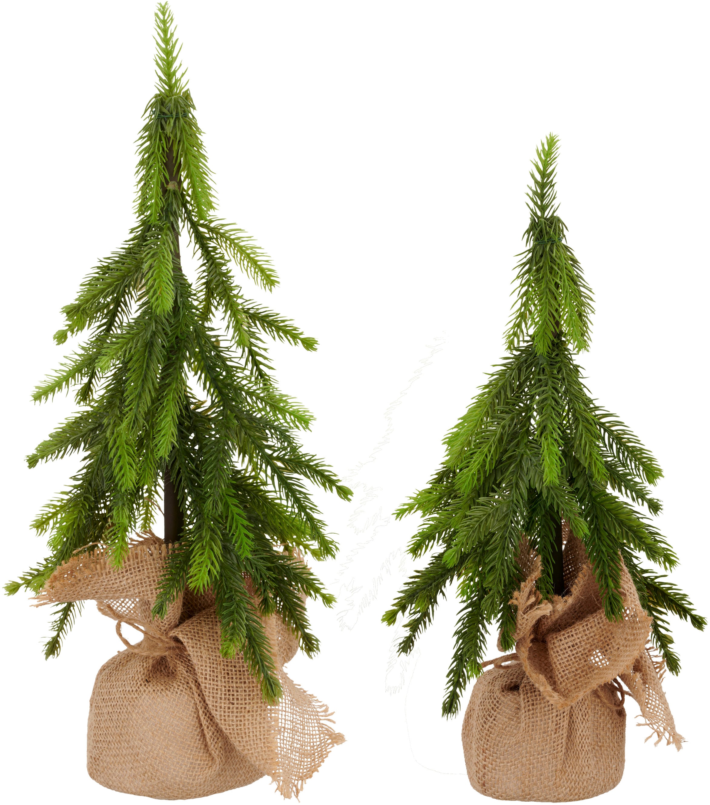 Creativ green Winterliche Kunstpflanze "Tannenbäumchen" im Set aus 2 Größen günstig online kaufen