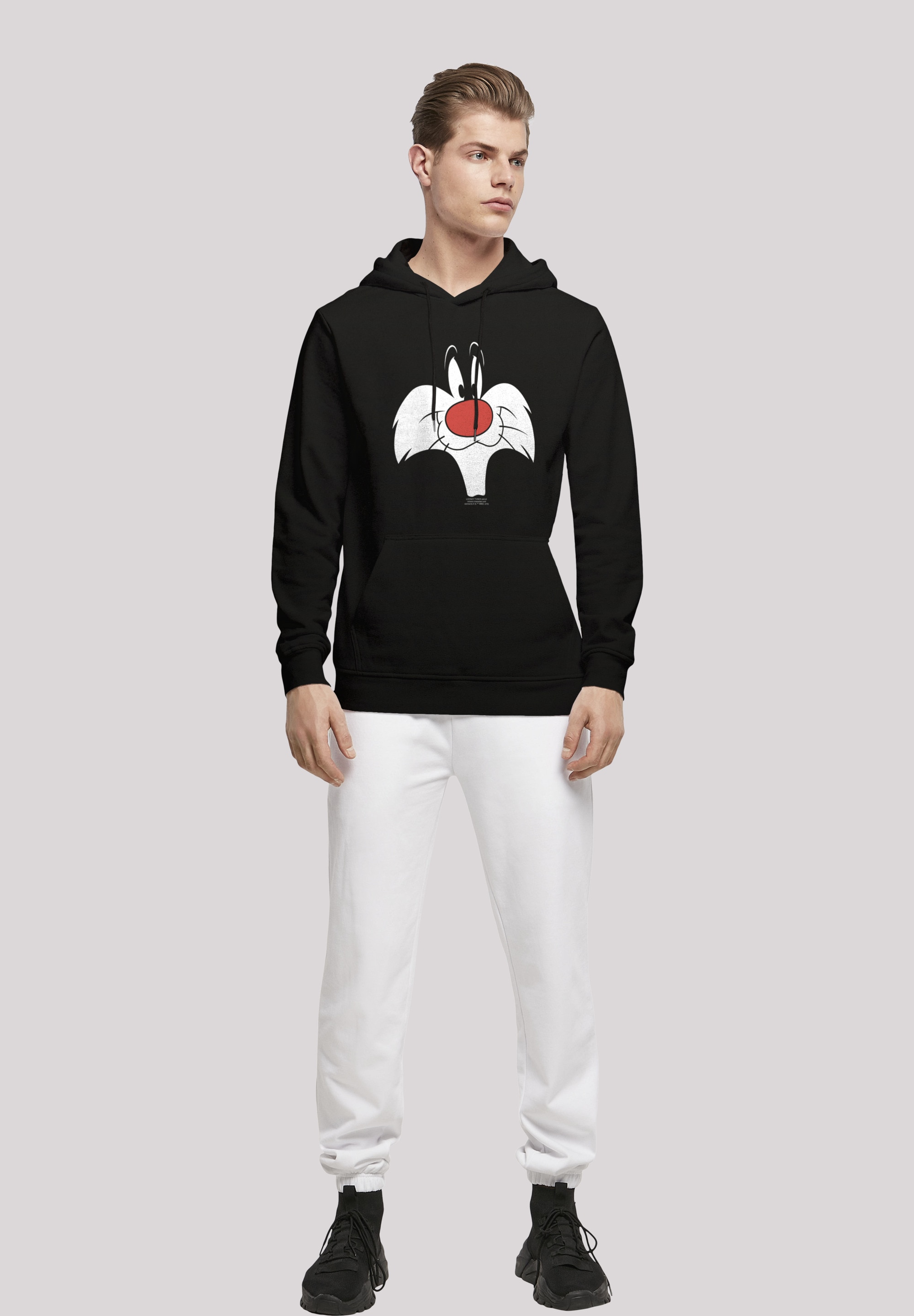 F4NT4STIC Rundhalspullover »F4NT4STIC Herren«, (1 tlg.)