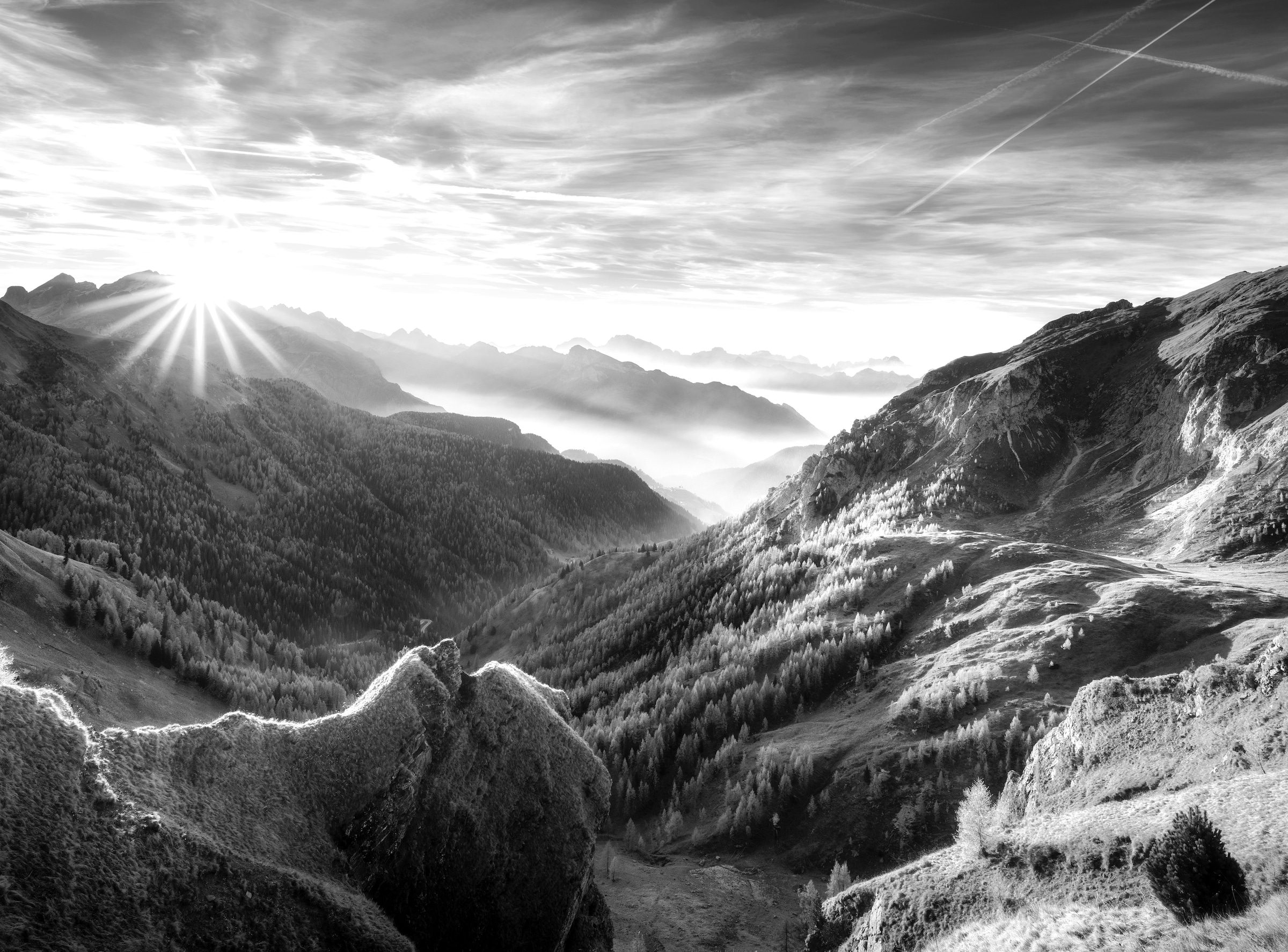Papermoon Fototapete "Landschaft schwarz & weiß" günstig online kaufen
