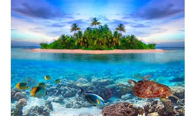 Fototapete »Marine Life Maldives«, matt