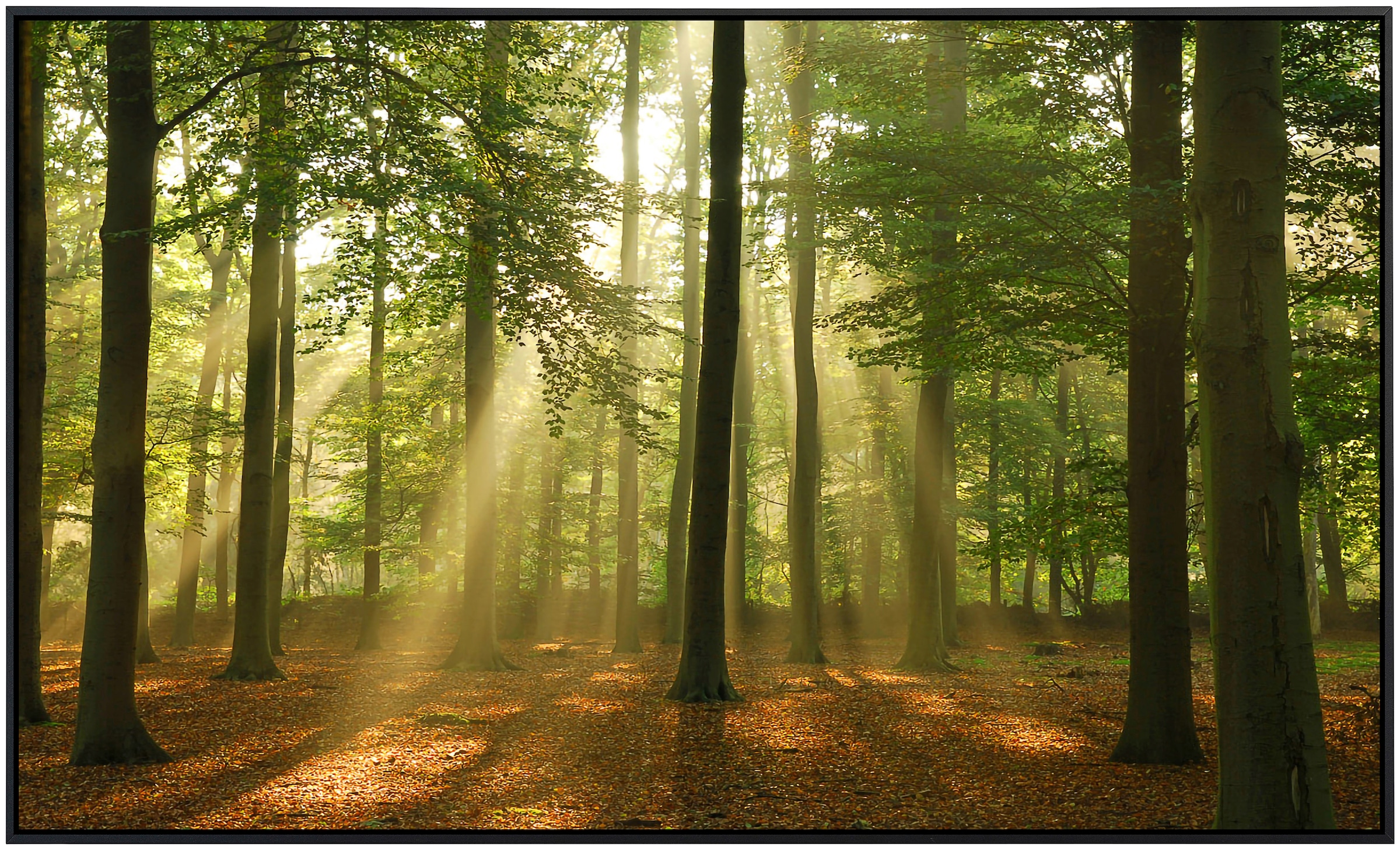 Papermoon Infrarotheizung »Wald am Morgen«, sehr angenehme Strahlungswärme