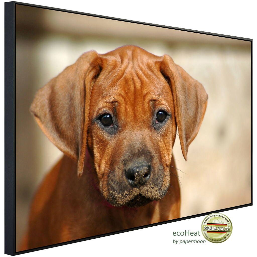 Papermoon Infrarotheizung »Rhodesian Ridgeback Welpe«