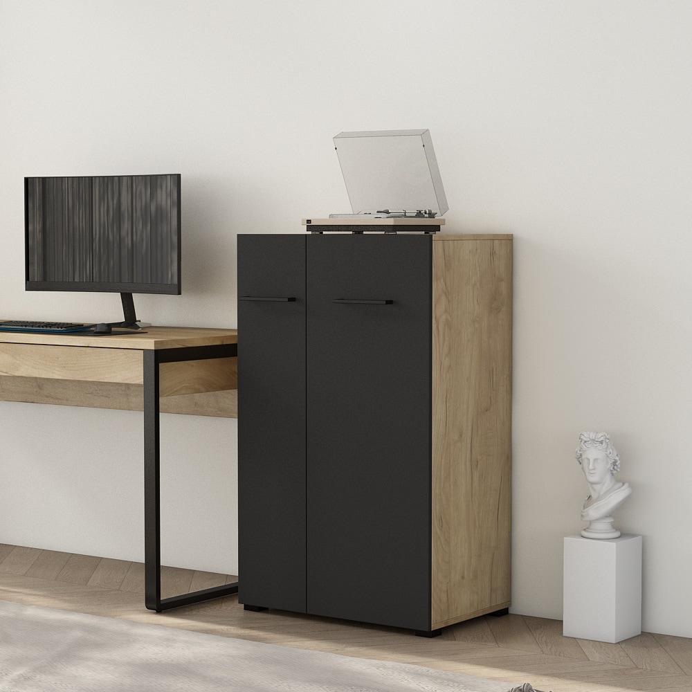 PLACES OF STYLE Aktenschrank »Moid; Mehrzweckschrank,« moderne Kommode mit viel Stauraum, Maße 64,5 x 41,5 x 106 cm