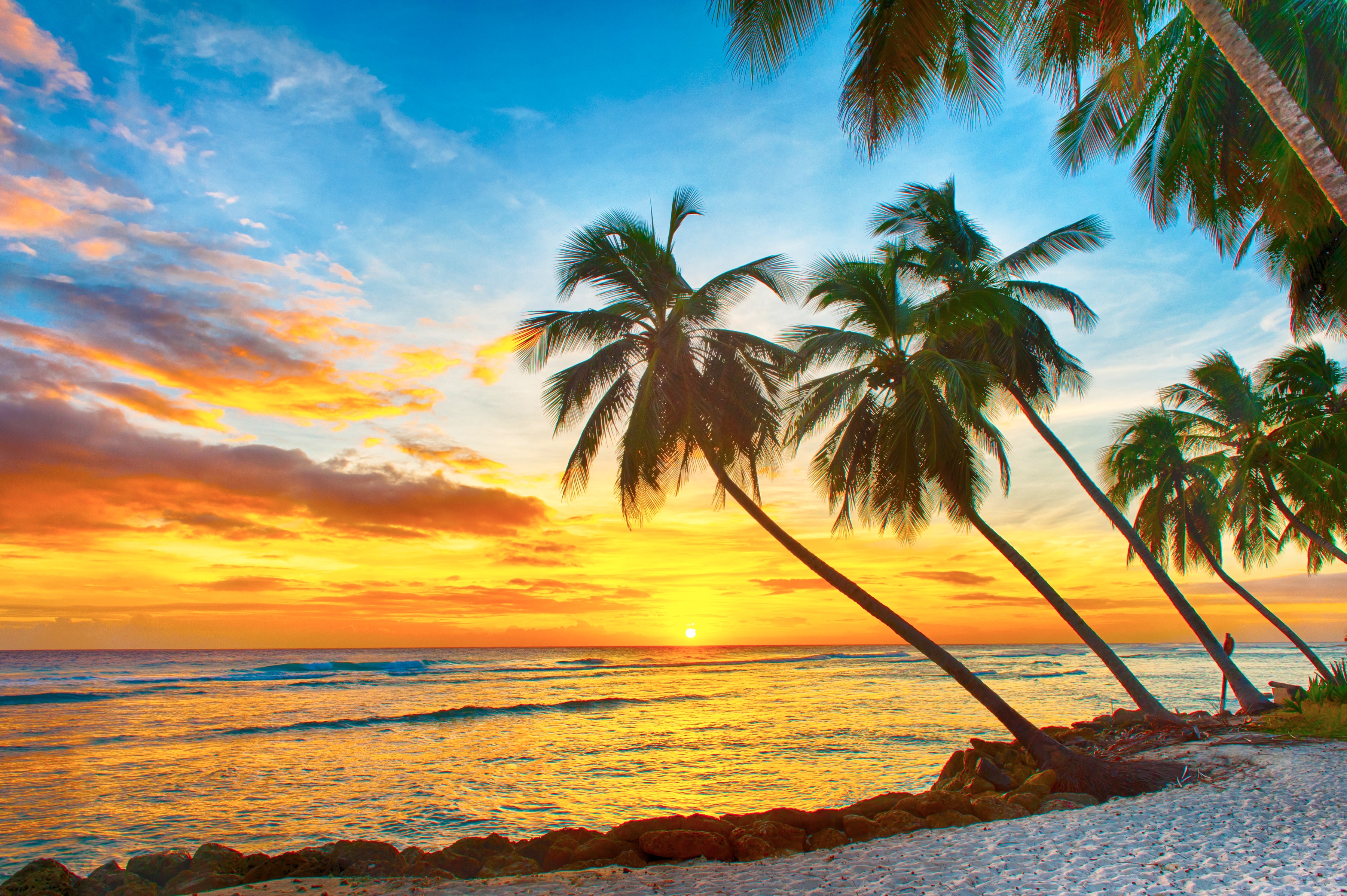 Papermoon Fototapete "Barbados Palm Beach" glatt