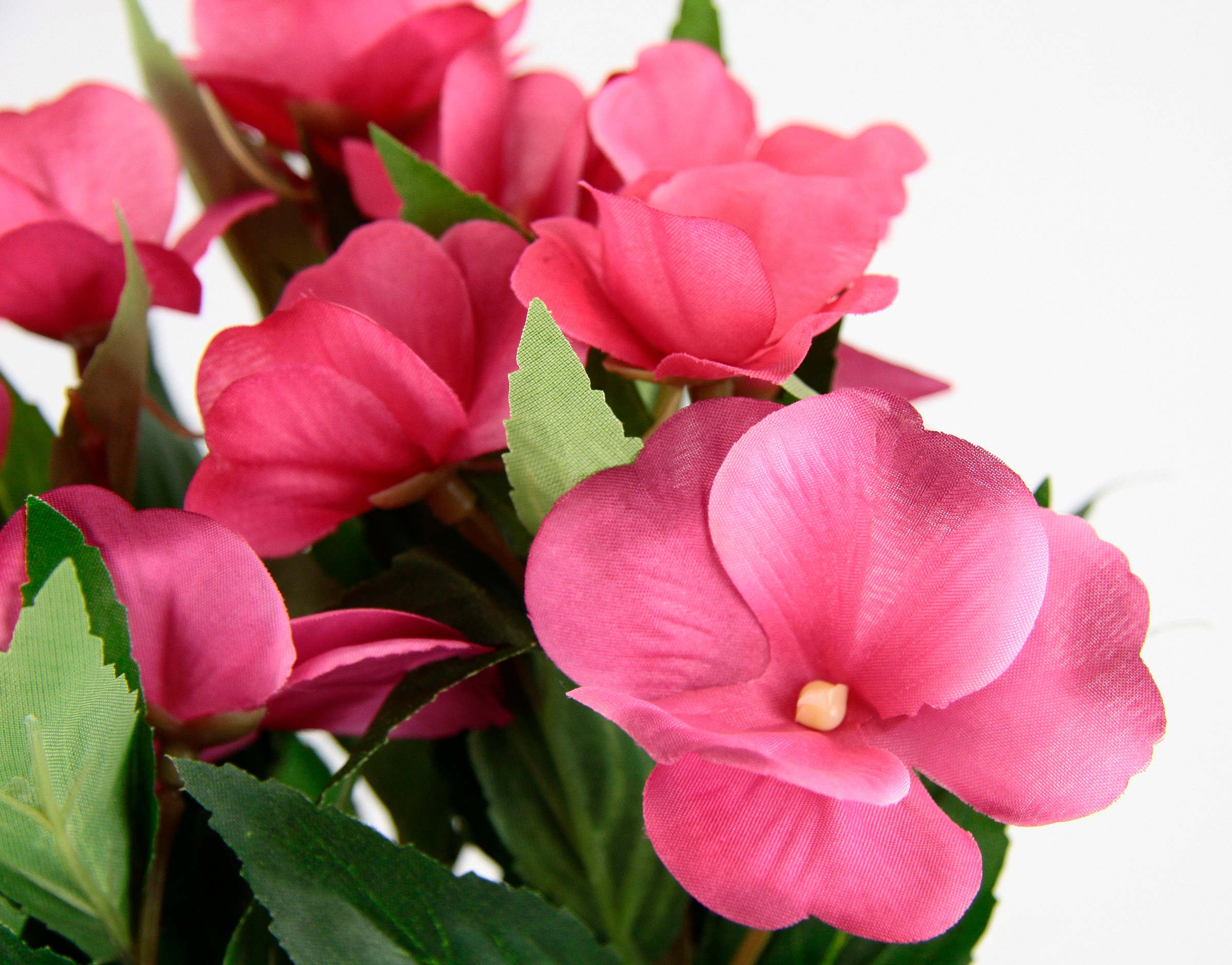3er kaufen Valeriana Blumentöpfe | I.GE.A. Im Lieschen«, Impatiens Set BAUR Kunstblume Topf, Textilblume »Fleißiges Deko