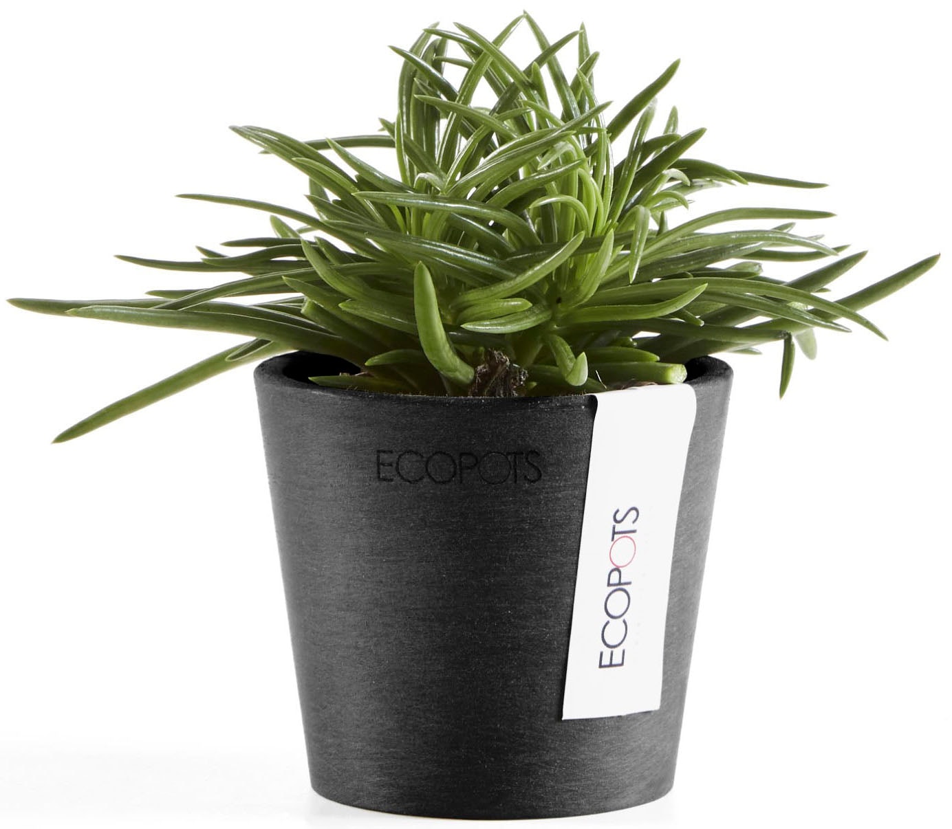 ECOPOTS Blumentopf »AMSTERDAM Mini Dark Grey« BxTxH: 8x8x7 cm