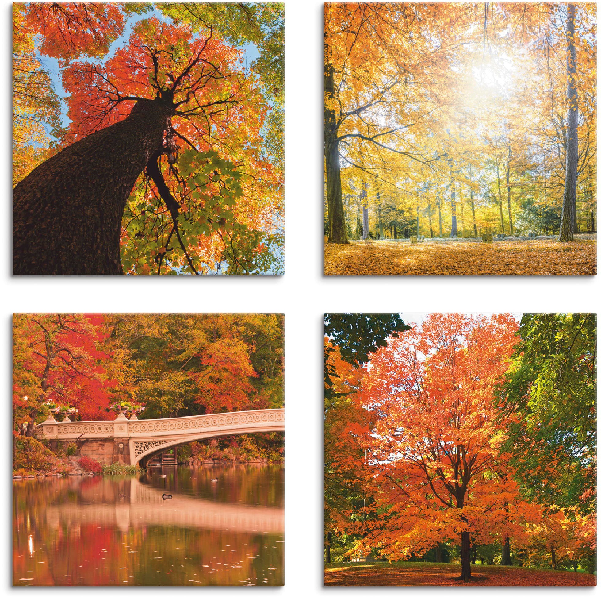 Artland Leinwandbild "Herbst Wald Panoramas" Wald 4 Stk. tlg. 4er Set, verschiedene Größen