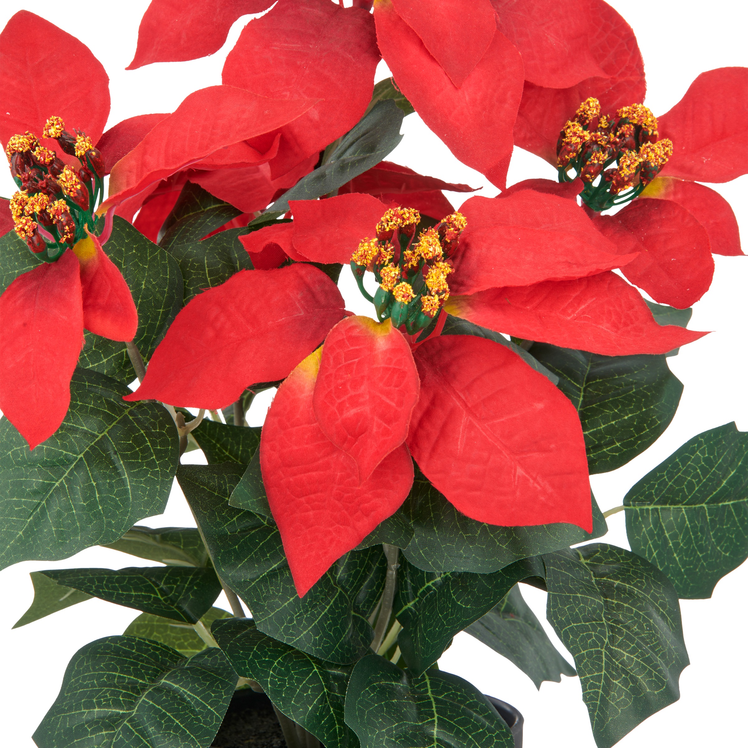 Creativ green Kunstblume "Weihnachtsstern" mit üppiger Blütenpracht günstig online kaufen