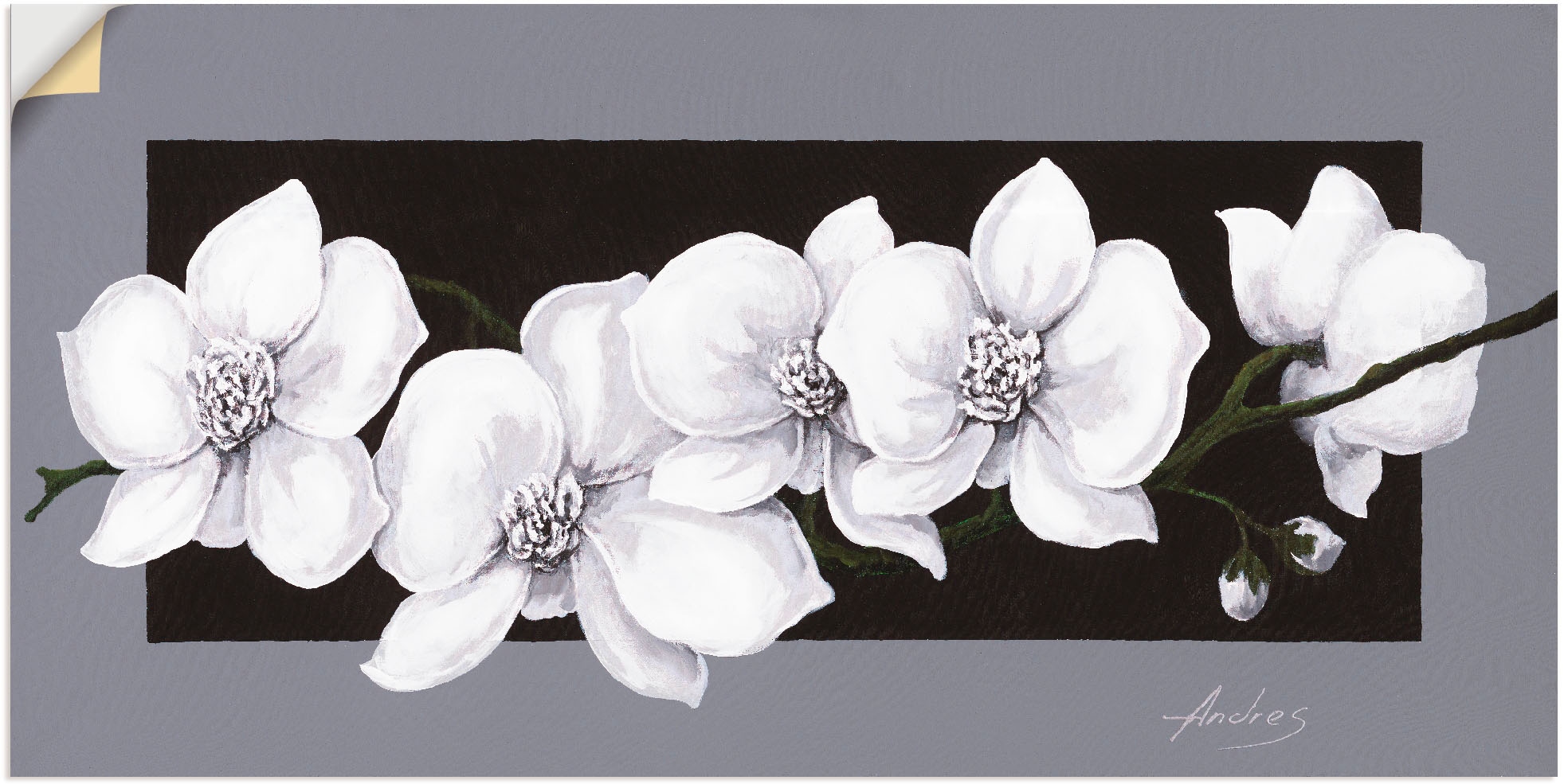 Wandbild »Weiße Orchideen auf grau«, Blumen, (1 St.), als Alubild, Outdoorbild,...