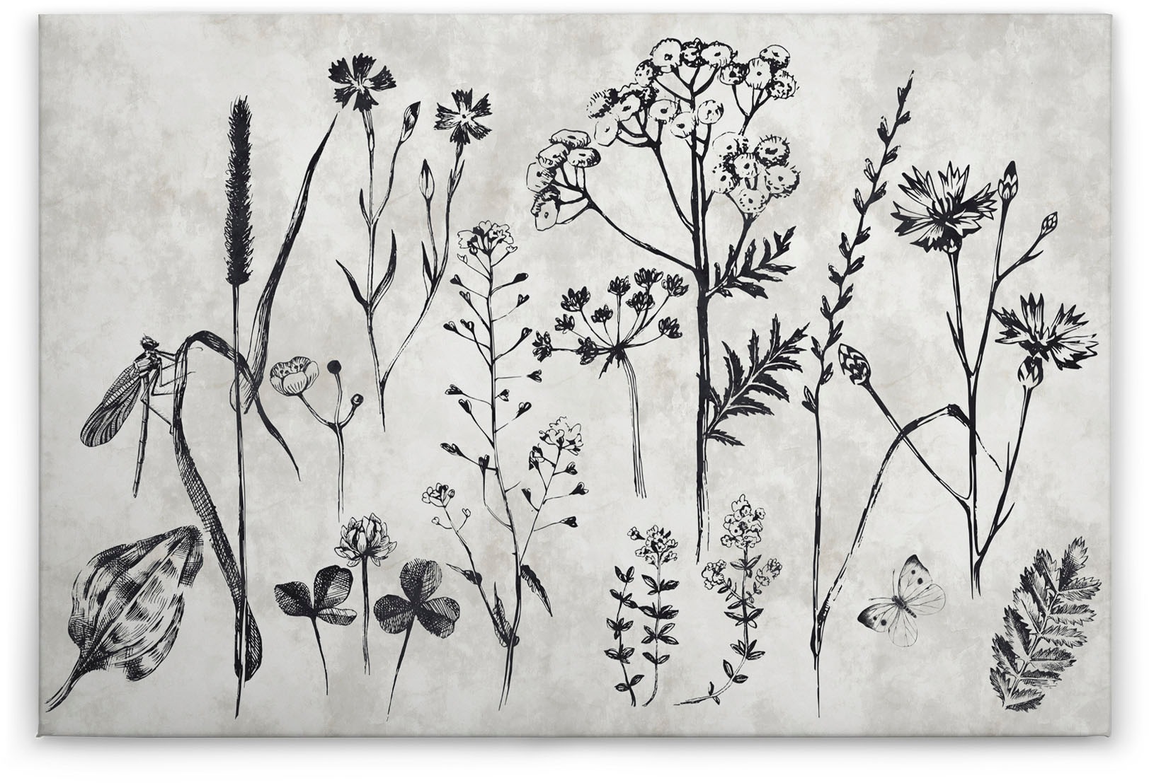 A.S. Création Leinwandbild »sketchpad«, (1 St.), Schwarz-Weiß Zeichnung Floral Keilrahmen Bild