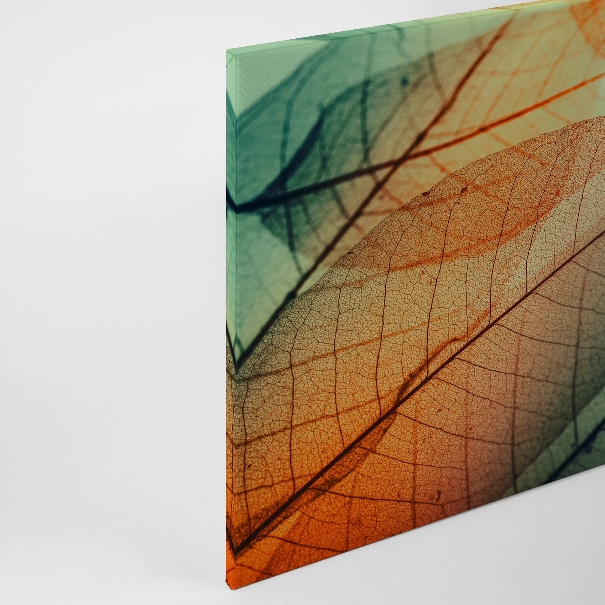 Thumbnail - A.S. Création Leinwandbild "Limpid Leaf" Kunst  Natur 1 Stk. tlg. Keilrahmen Moderne Blätter Bunt Leinwand-Bild Wohnzimm...