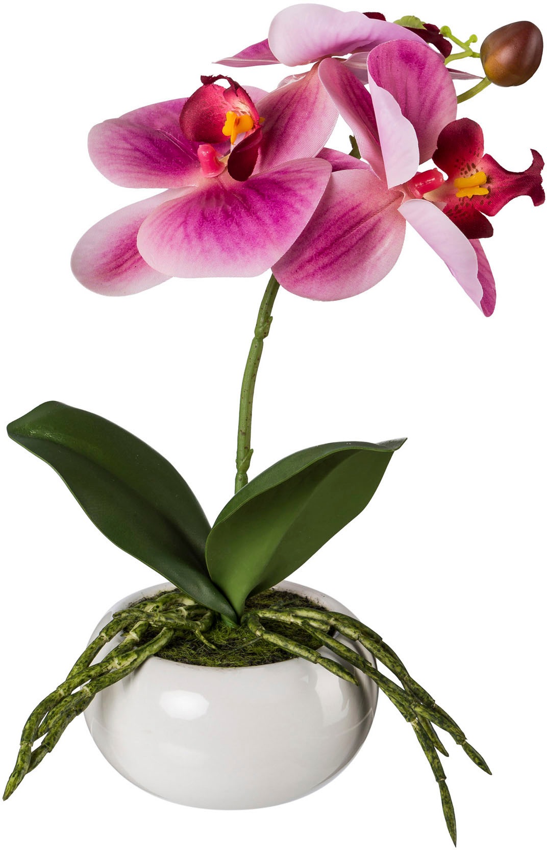 Creativ green Kunstorchidee "Phalaenopsis in Keramikschale", mit Real-Touch günstig online kaufen