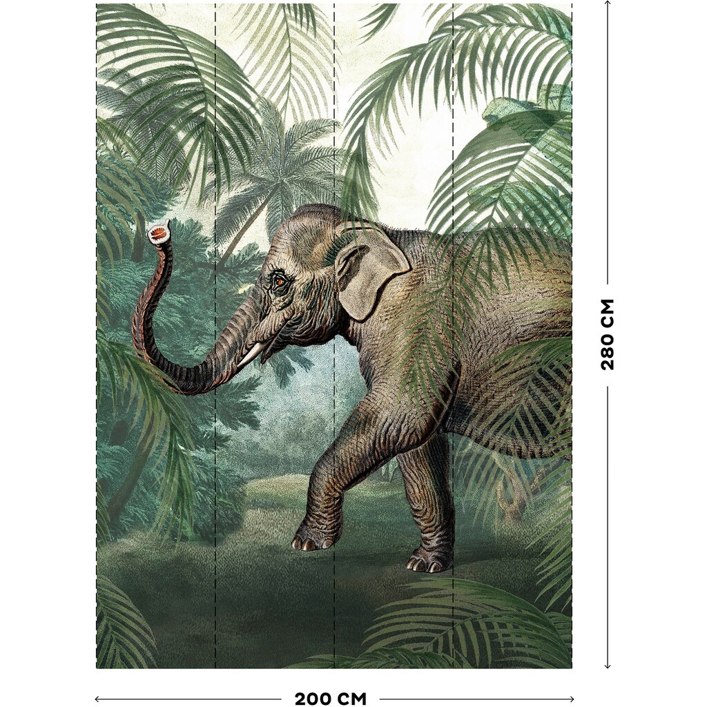 Art for the home Fototapete »Elefant«, animal print