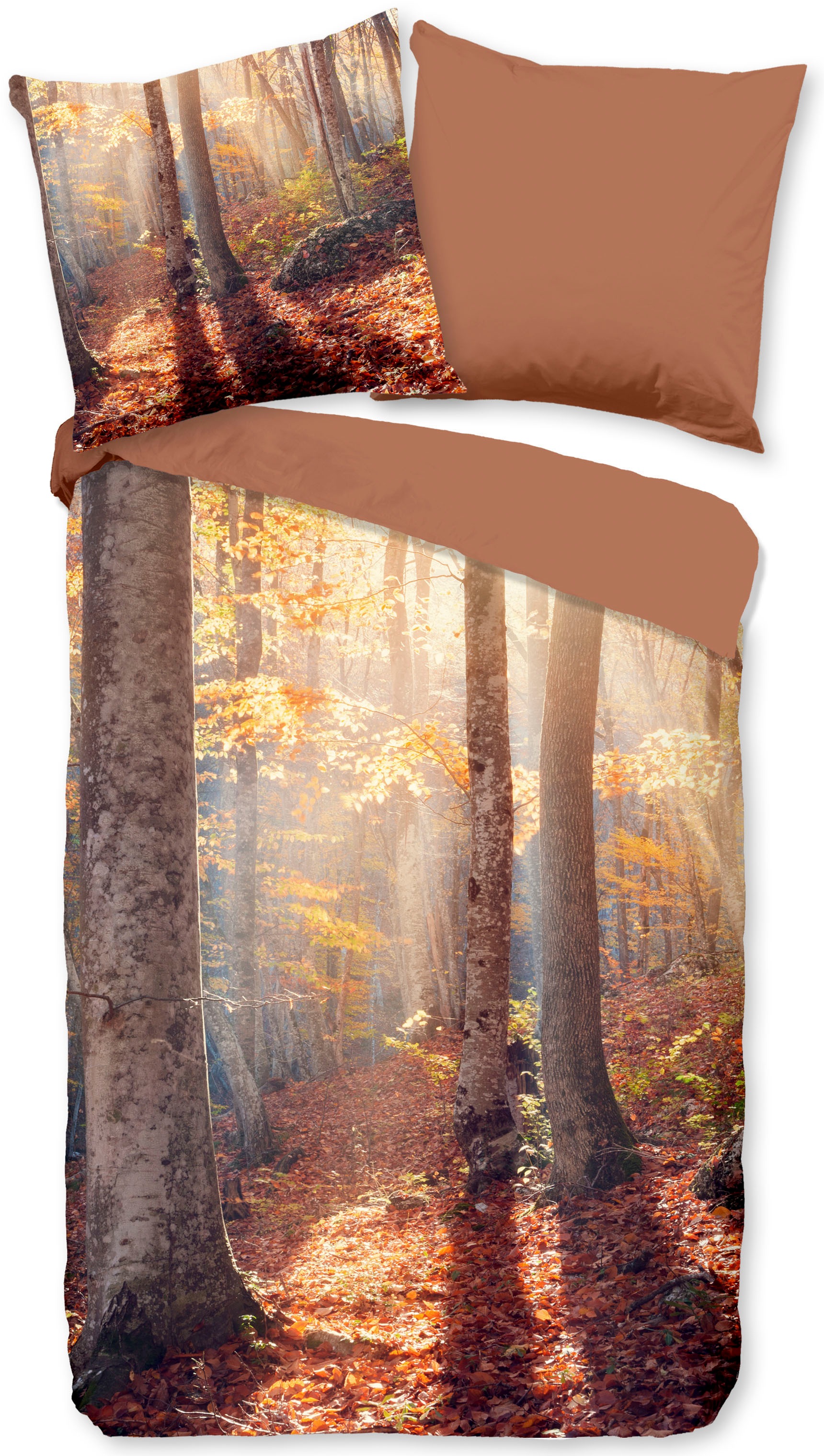 PURE luxury collection Wendebettwäsche »Autumnn«, (2 tlg.), 100% Mikrofaser kaufen