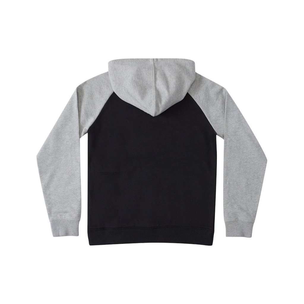 DC Shoes Kapuzensweatshirt »DC Star Pilot«