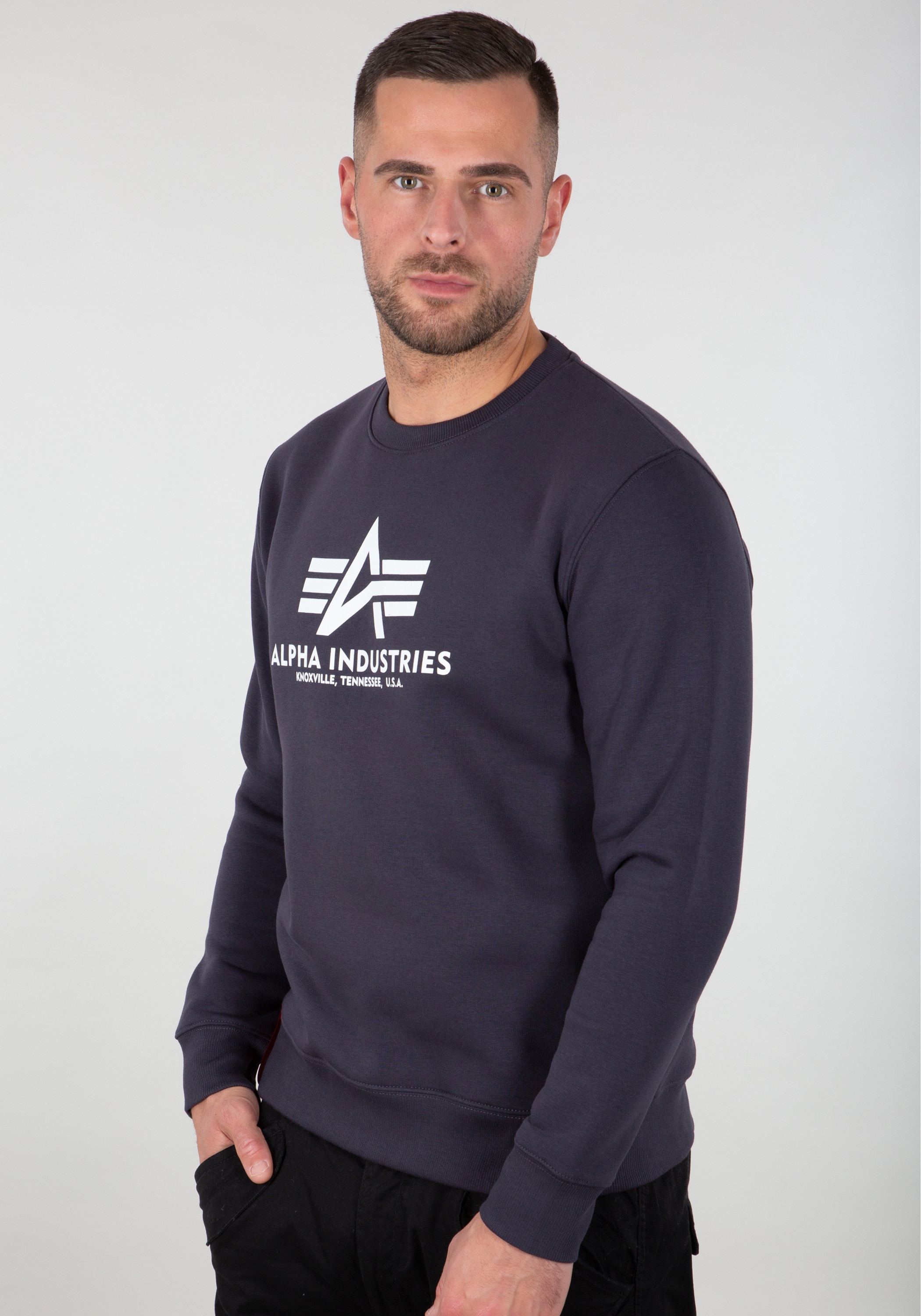 Alpha Industries Sweater »Alpha Industries Men - Sweatshirts Basic Sweater«