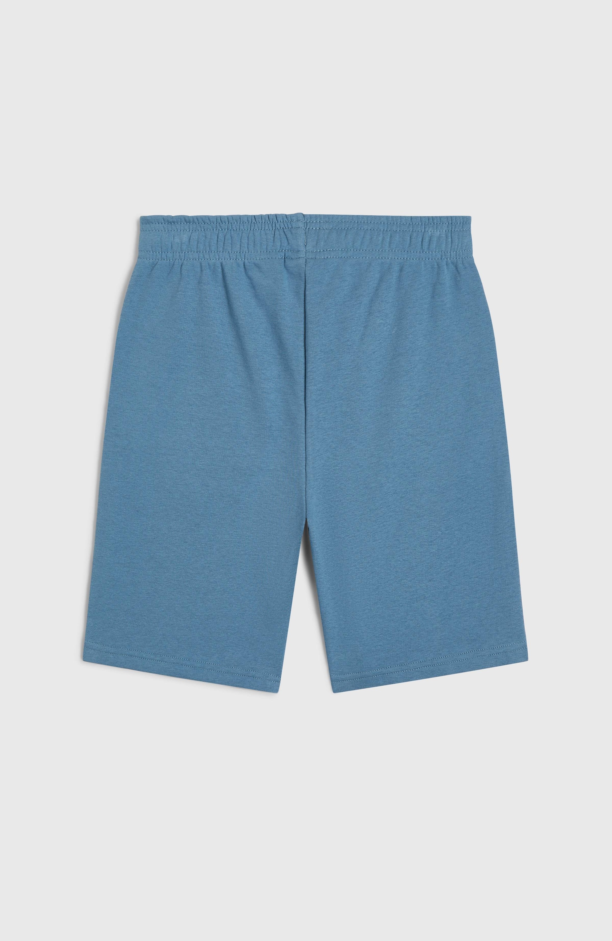 O'Neill Badeshorts »O'NEILL LOGO SWEATSHORTS«