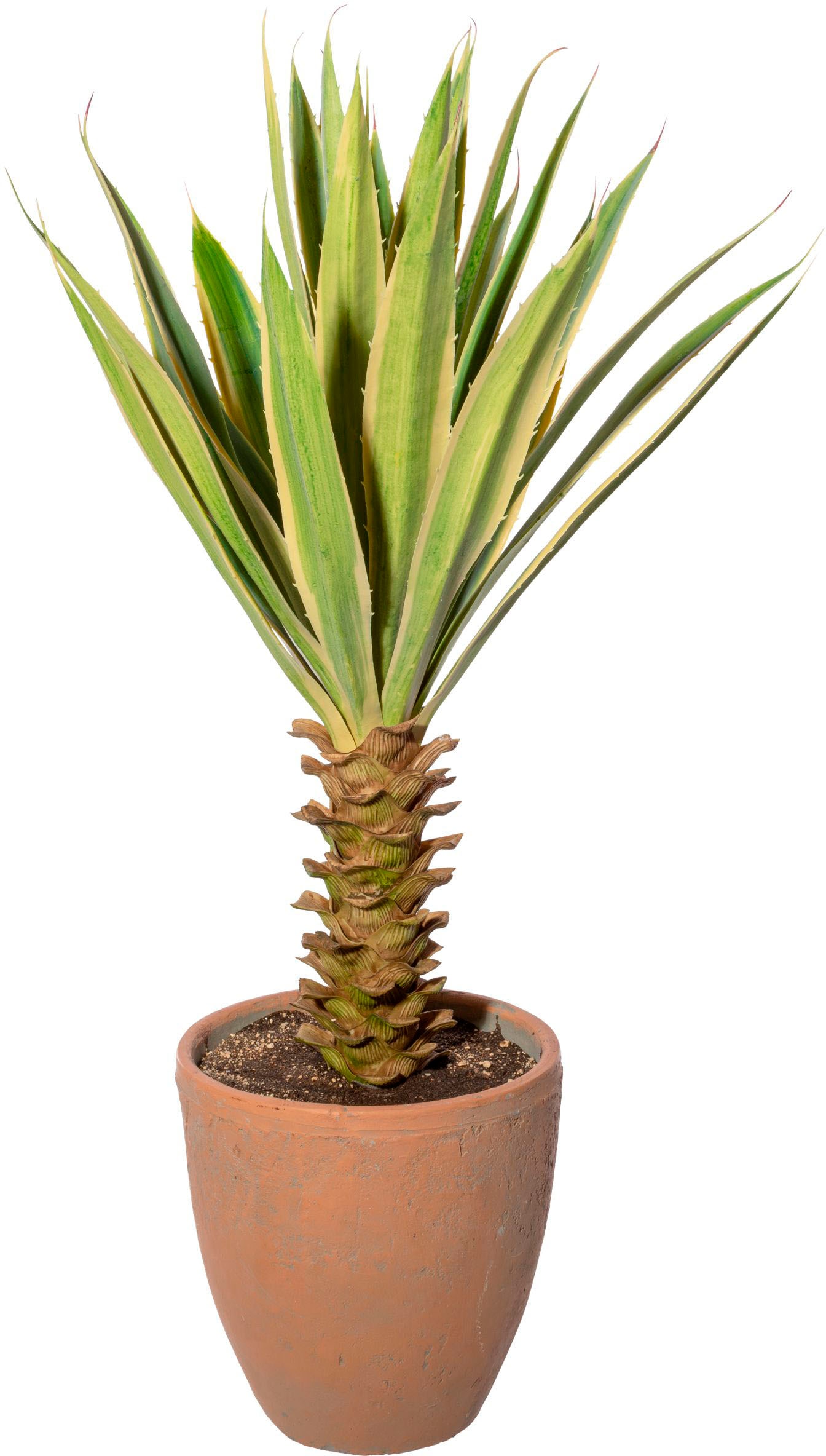 Creativ green Künstliche Zimmerpflanze "Yucca im Terracottatopf" günstig online kaufen