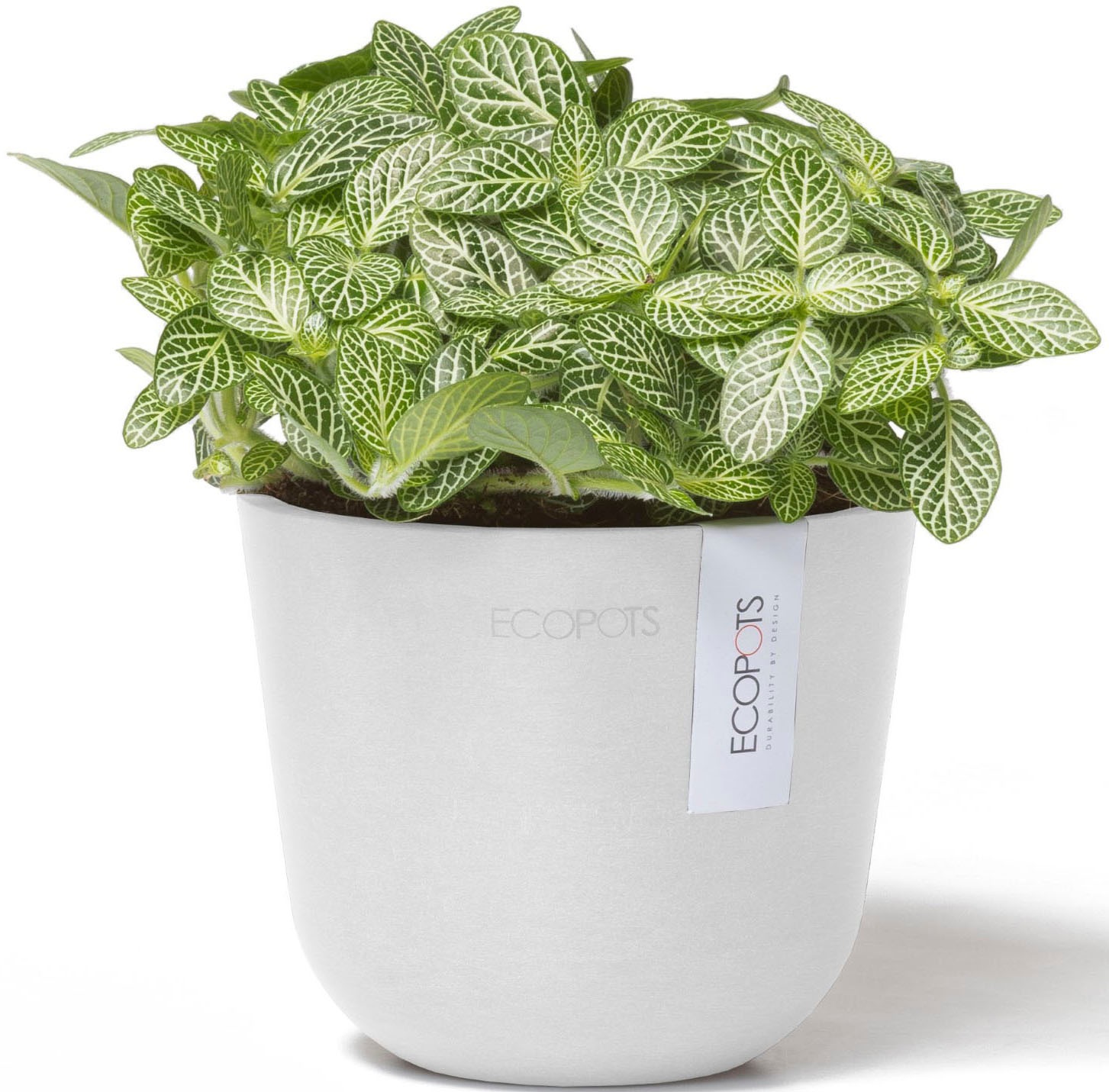 ECOPOTS Blumentopf »Oslo Mini 11,5 Weiß« für den Innenbereich