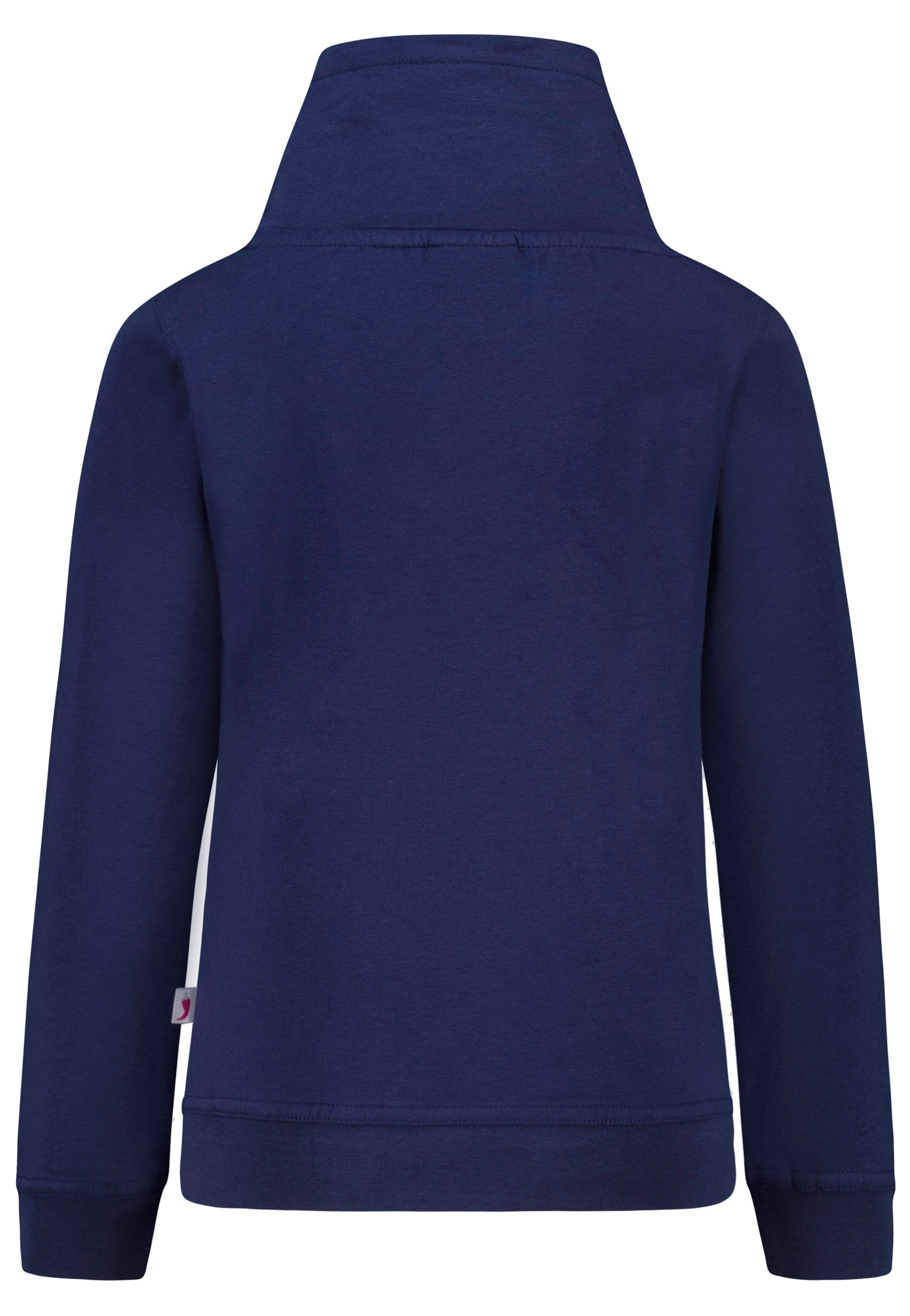 SALT AND PEPPER Kapuzensweatshirt »Star Stable«, mit gesticktem Pferdemotiv und Pailletten