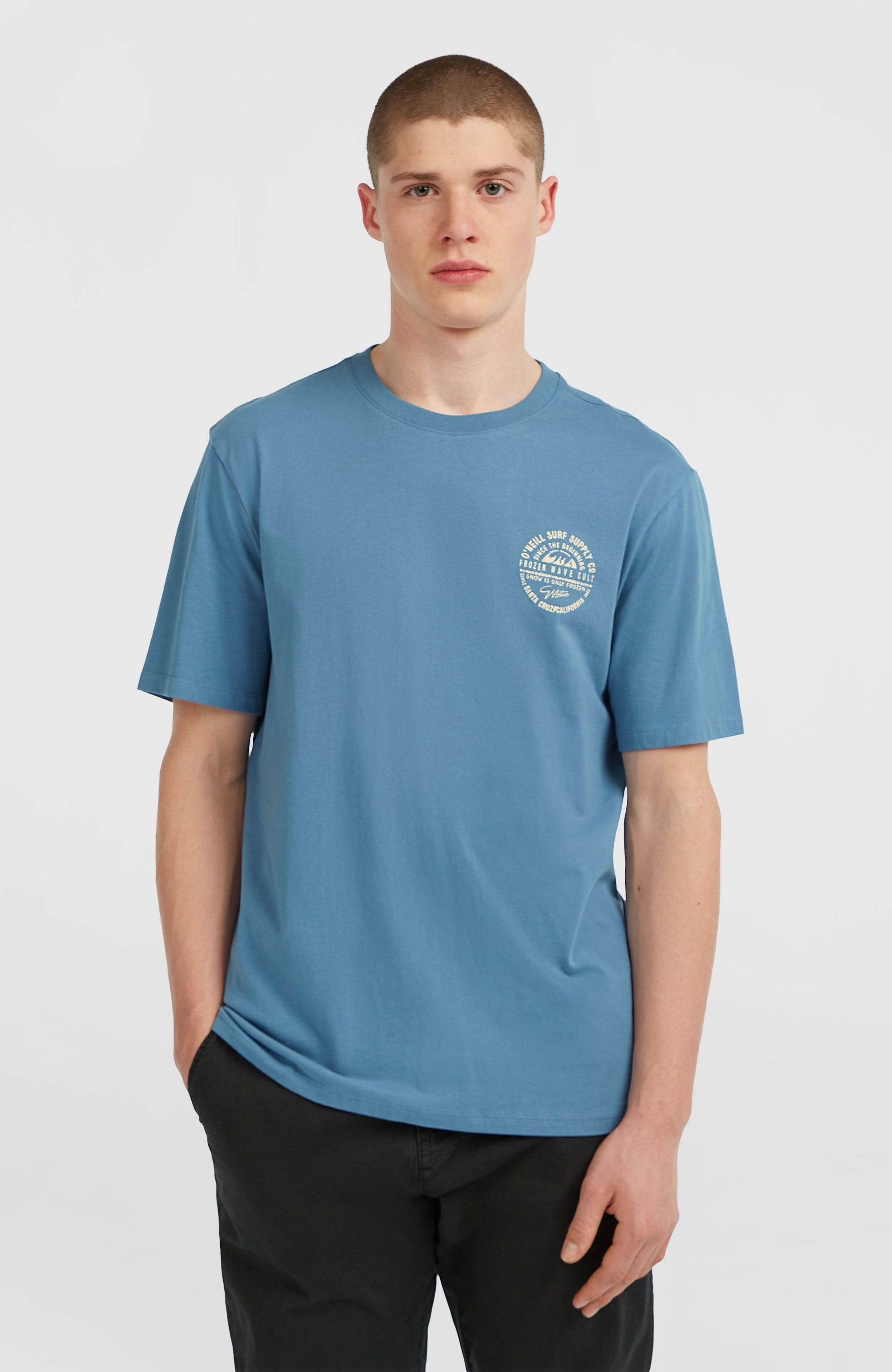ONeill T-Shirt "ONEILL CHEST PRINT T-SHIRT" 1 Stk. sportlicher Stil, für ve günstig online kaufen