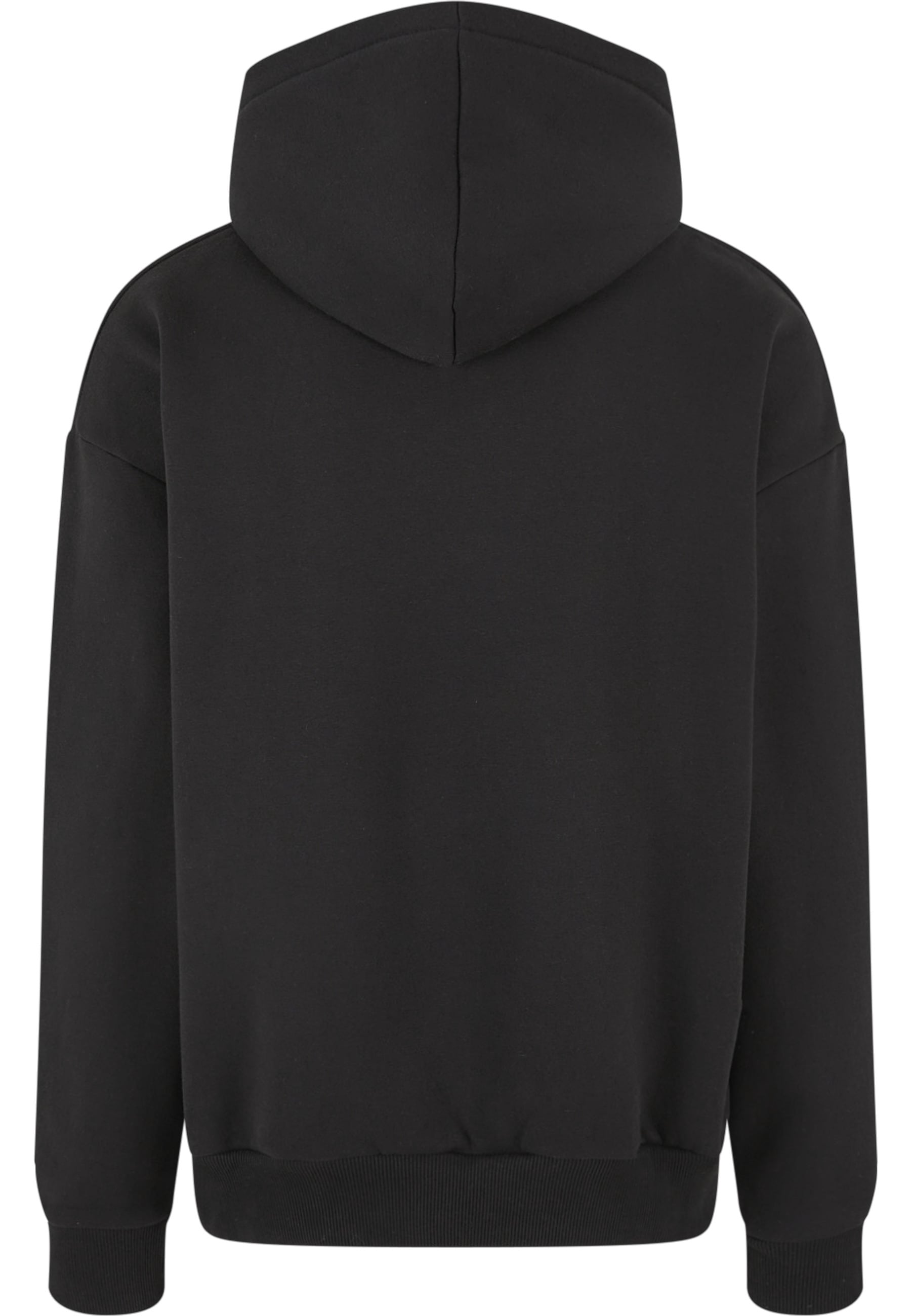 Dropsize Kapuzensweatshirt »Dropsize Herren Heavy Logo Design Hoodie«, 1 Stk.
