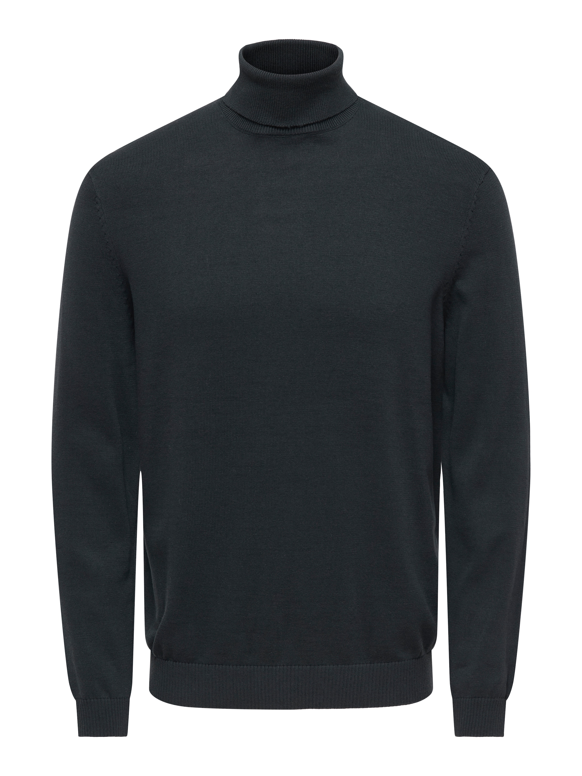 ONLY & SONS Rollkragenpullover »ONSHOLGER REG ROLL NECK KNIT - OTL«