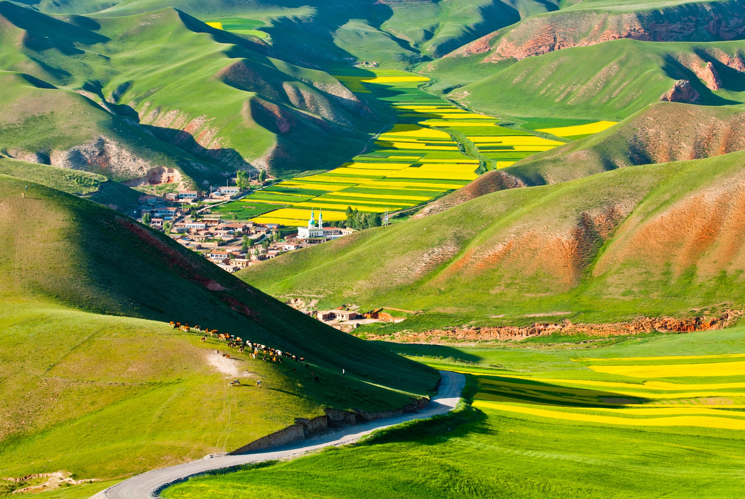 Papermoon Fototapete »GEBIRGE-TAL STADT BUNT BERGE LANDSCHAFT VIEH GRÜN WOLKE«