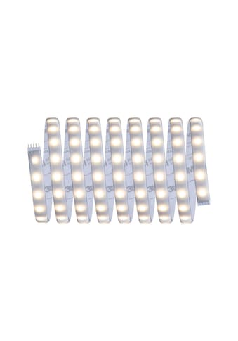 Paulmann LED-Streifen »MaxLED 500 Basisset 3m 2...