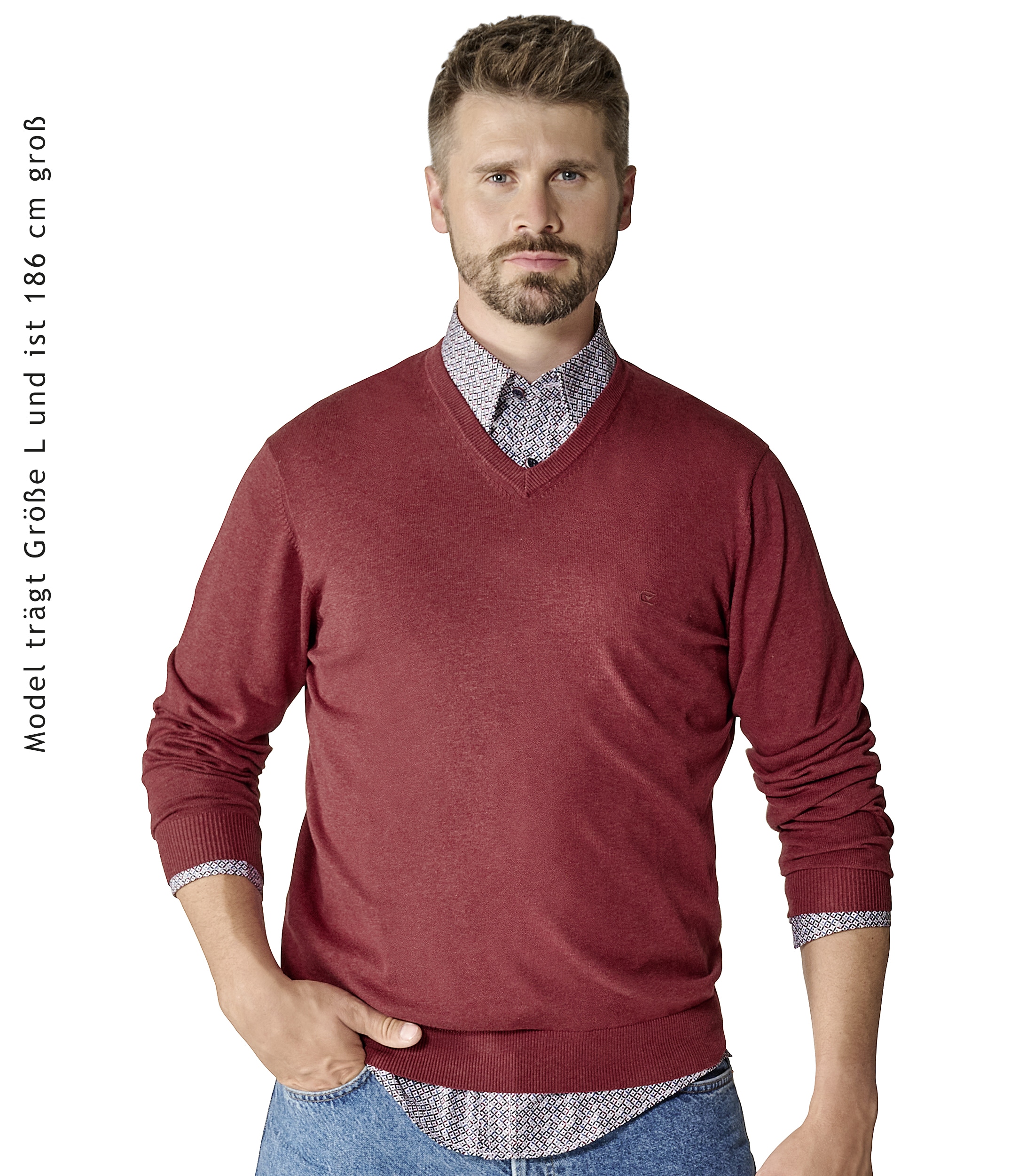 CASAMODA Strickpullover "CASAMODA Pullover uni" günstig online kaufen